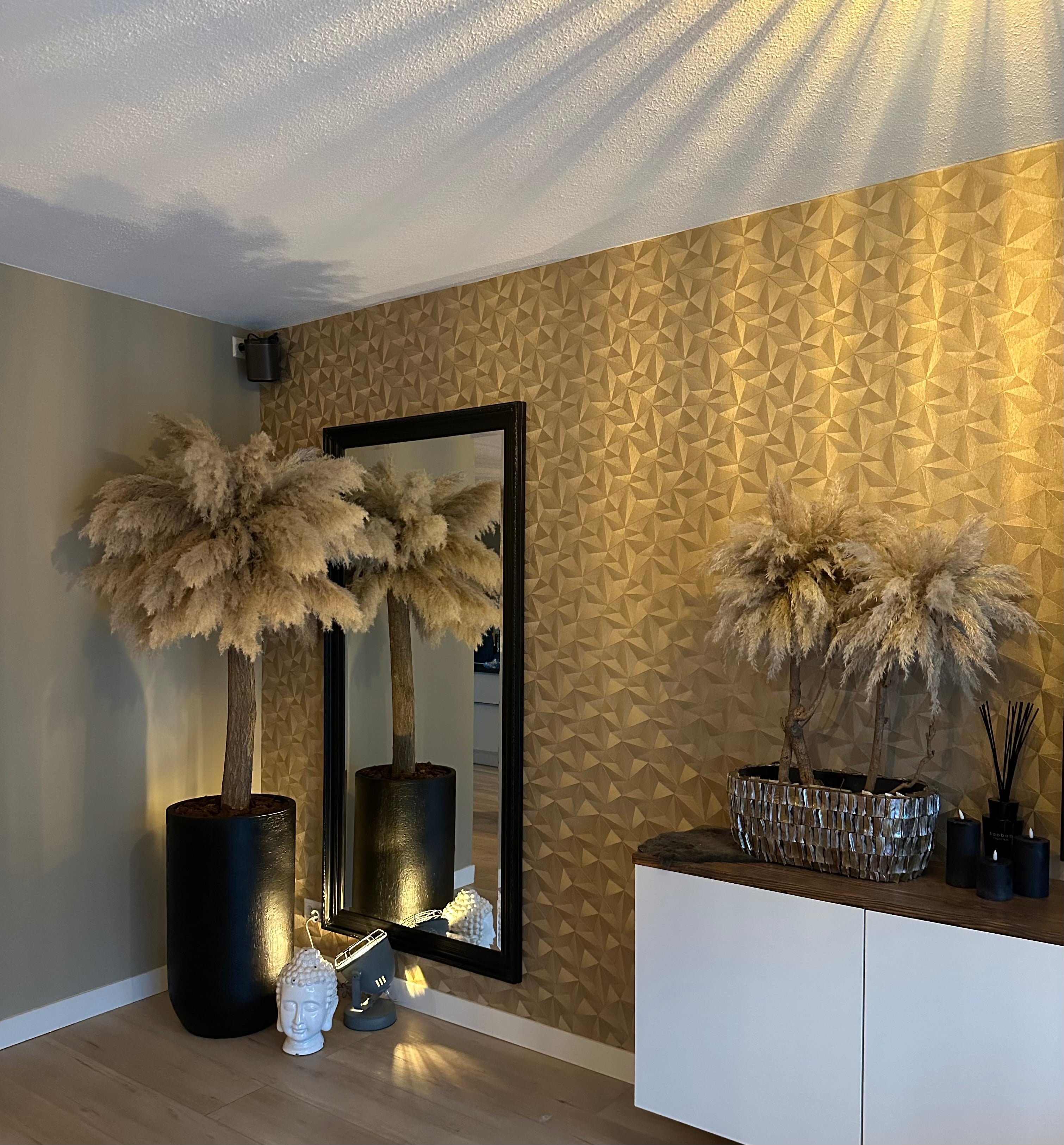 Pampas bomen