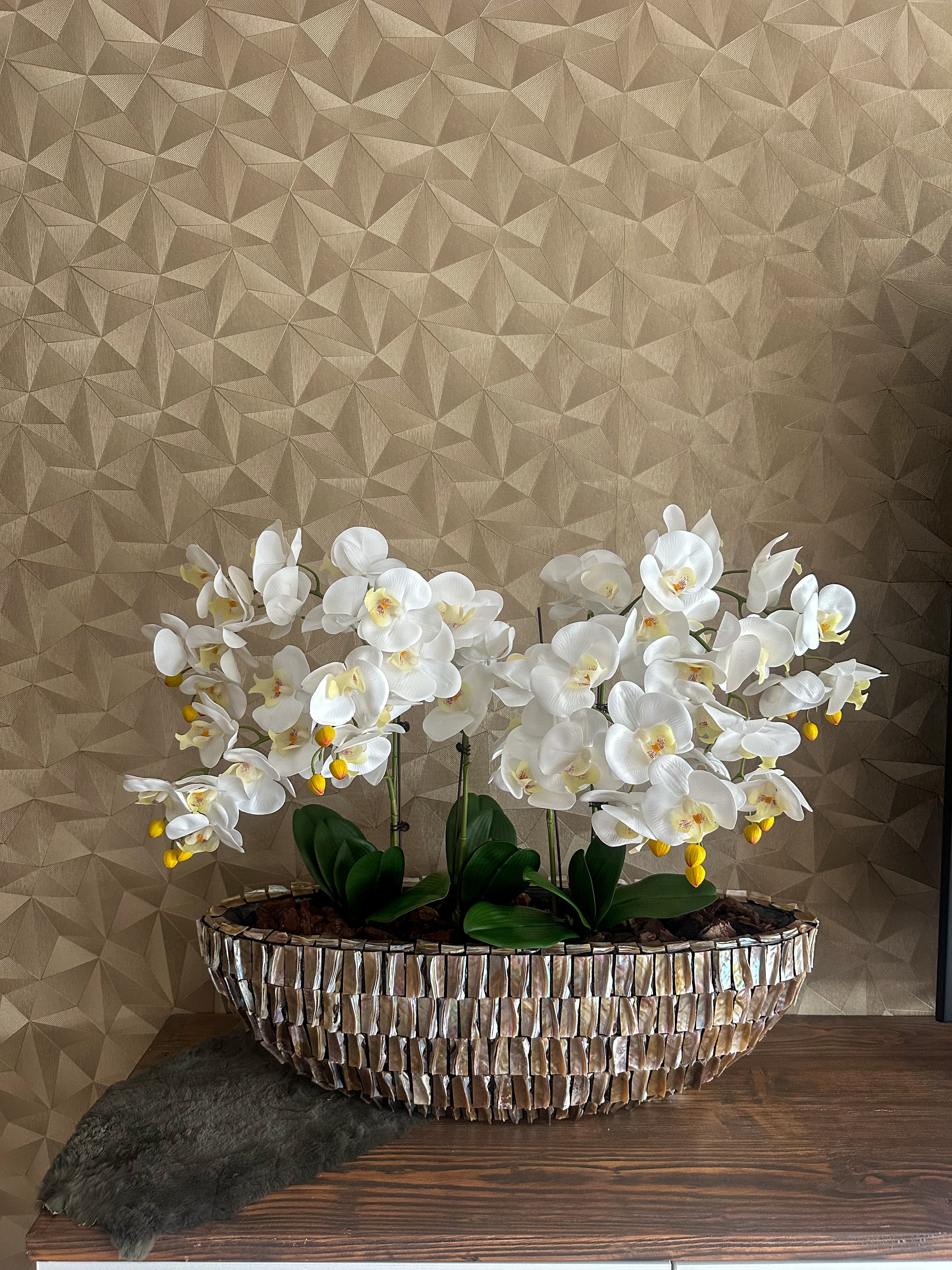 Tidal Elegance Schelpenvaas met orchideeën