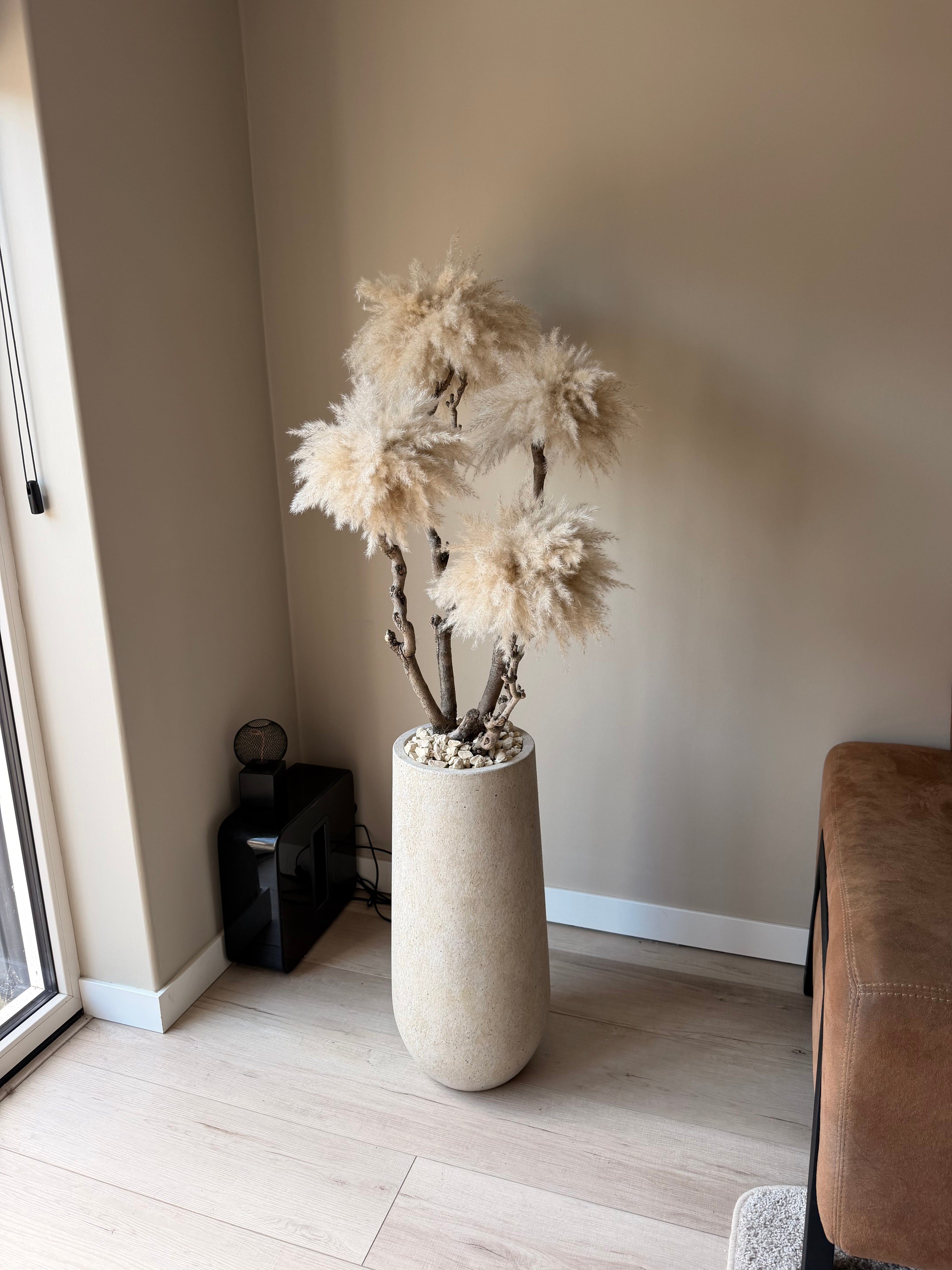 Golden dune pampas