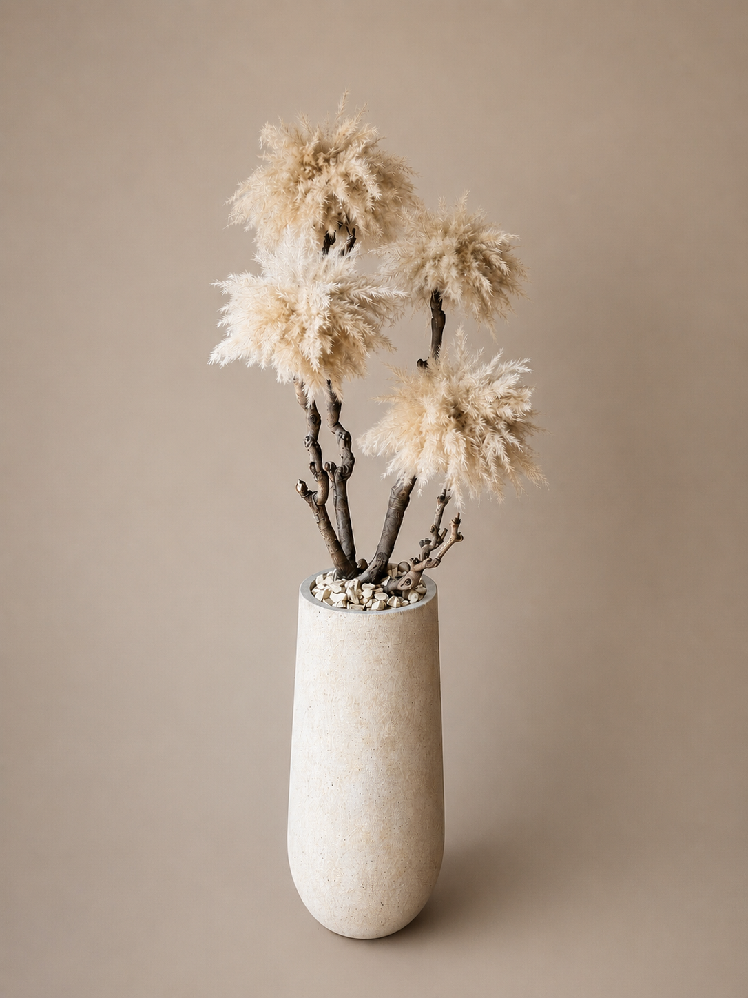 Golden dune pampas