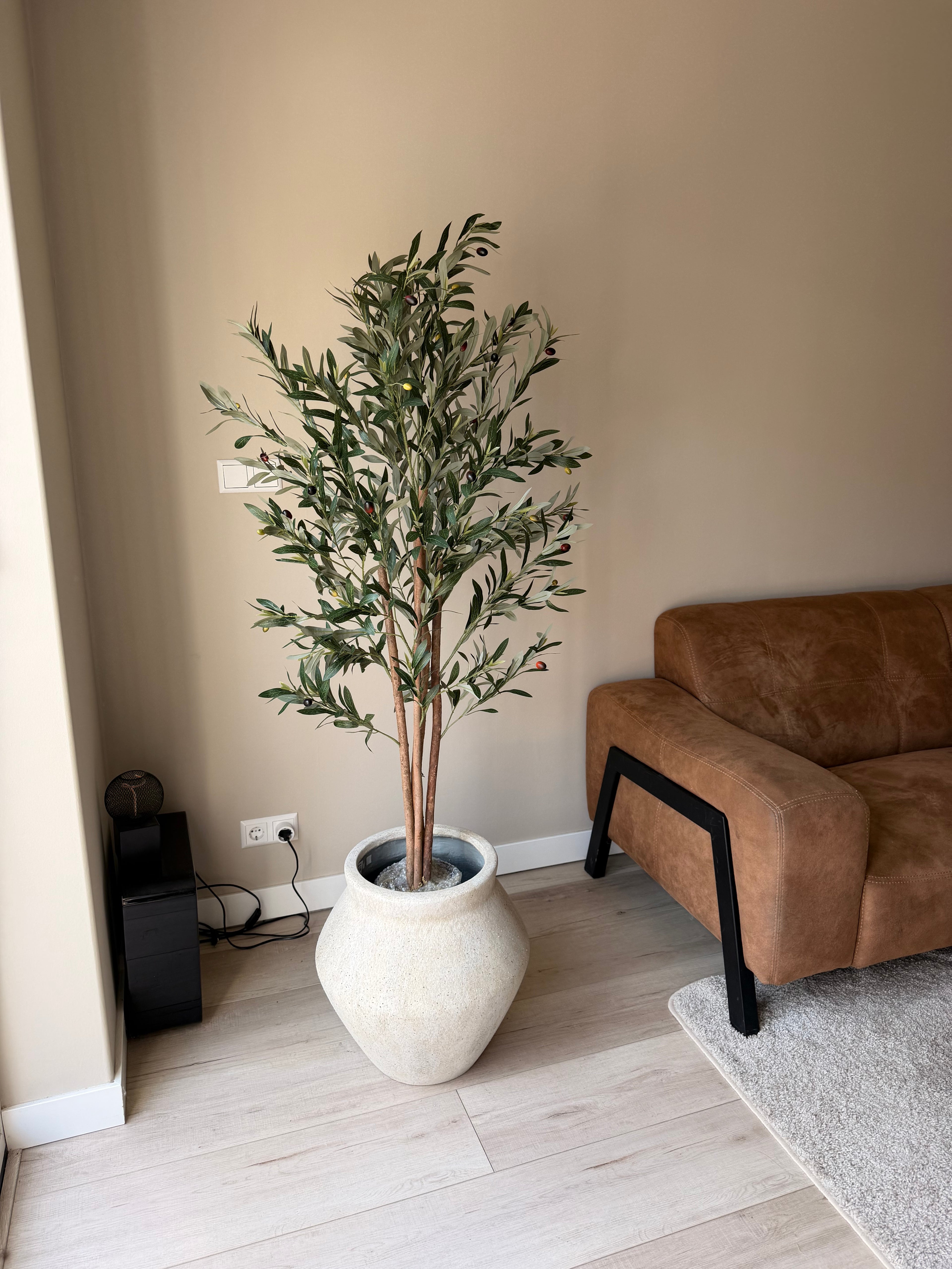 Olijf boom 150cm