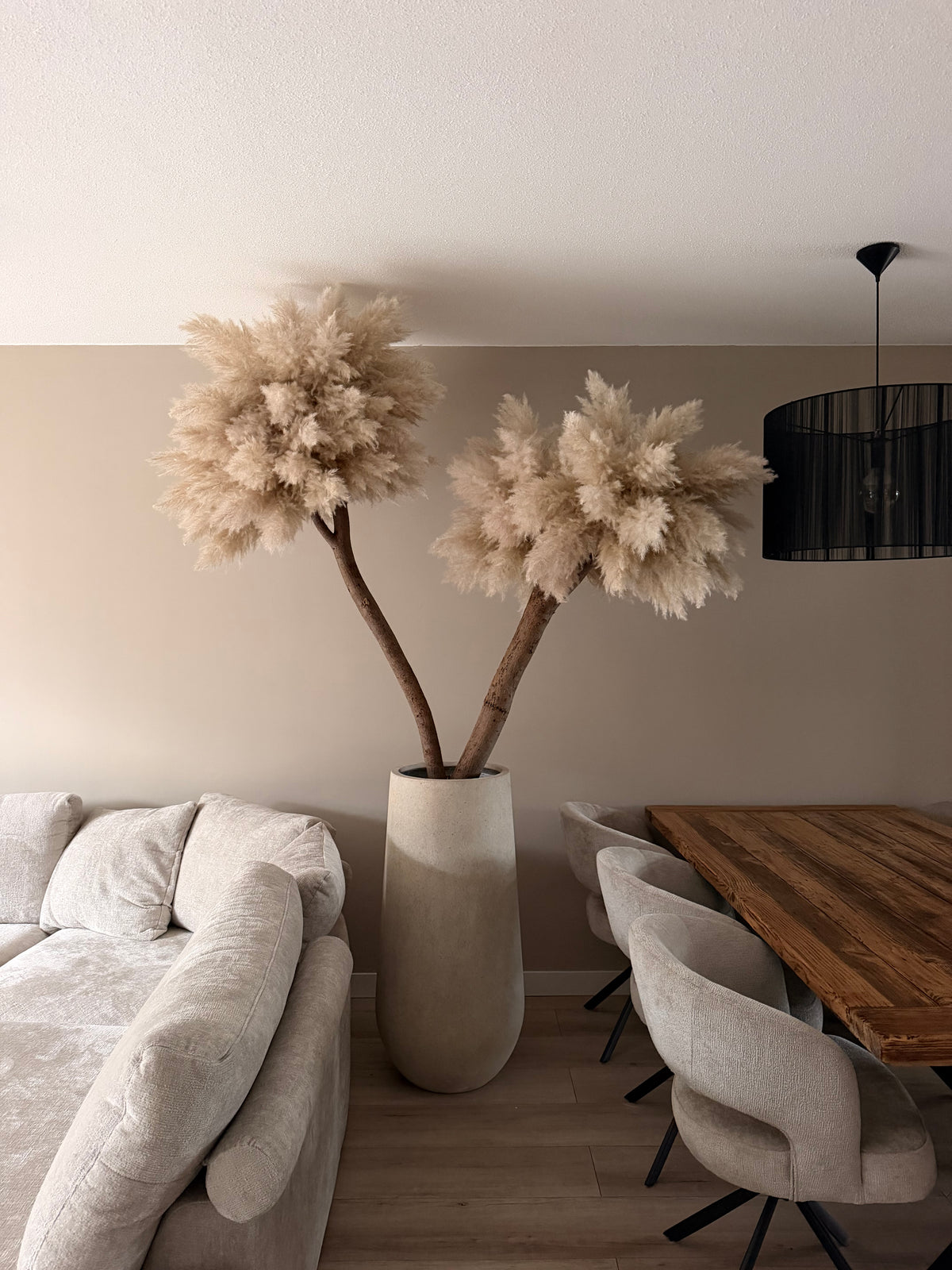 Pampas Boom Royal – ca. 230-240cm