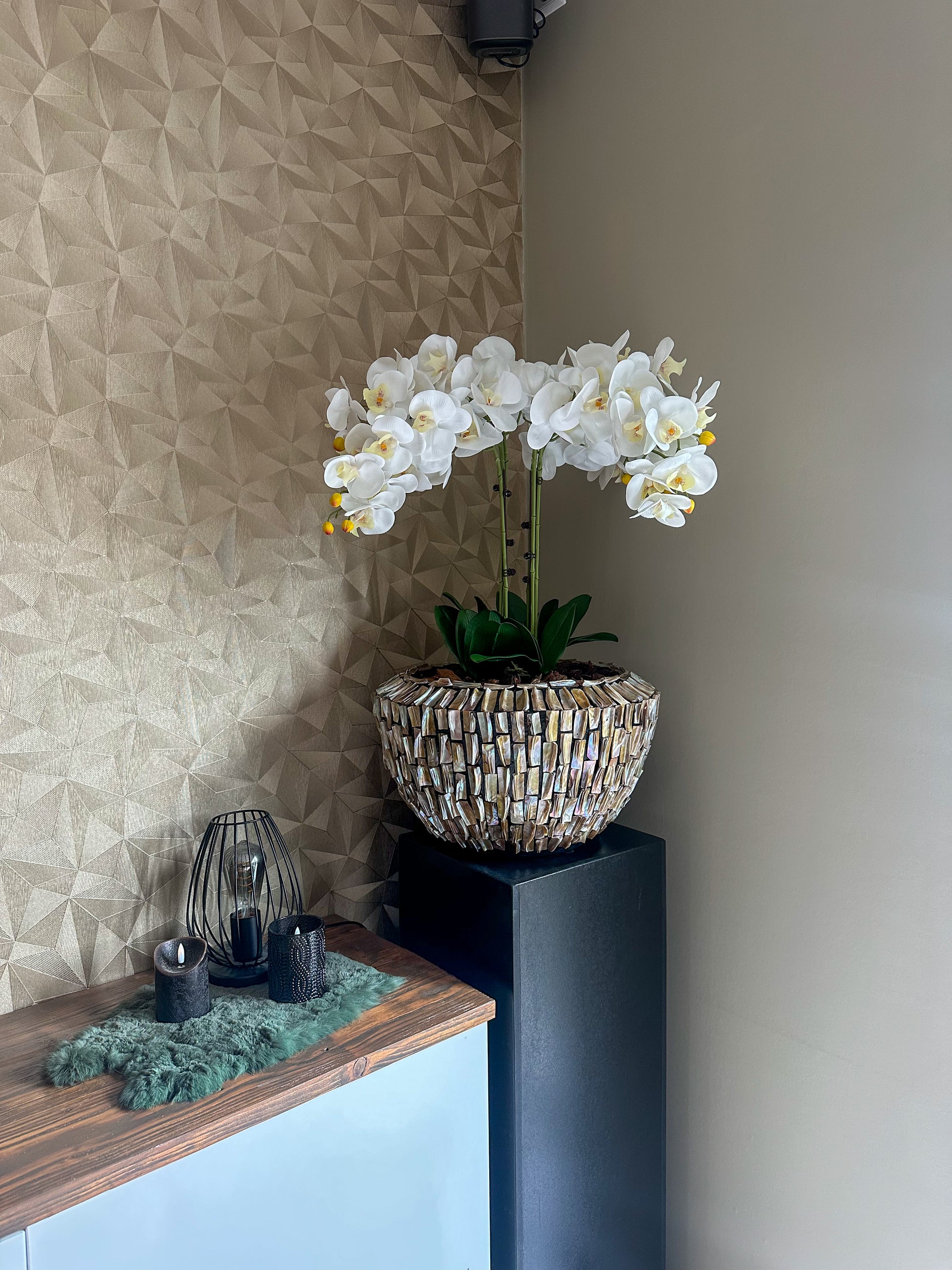 Laguna Luxe Schelpenvaas met orchideeën