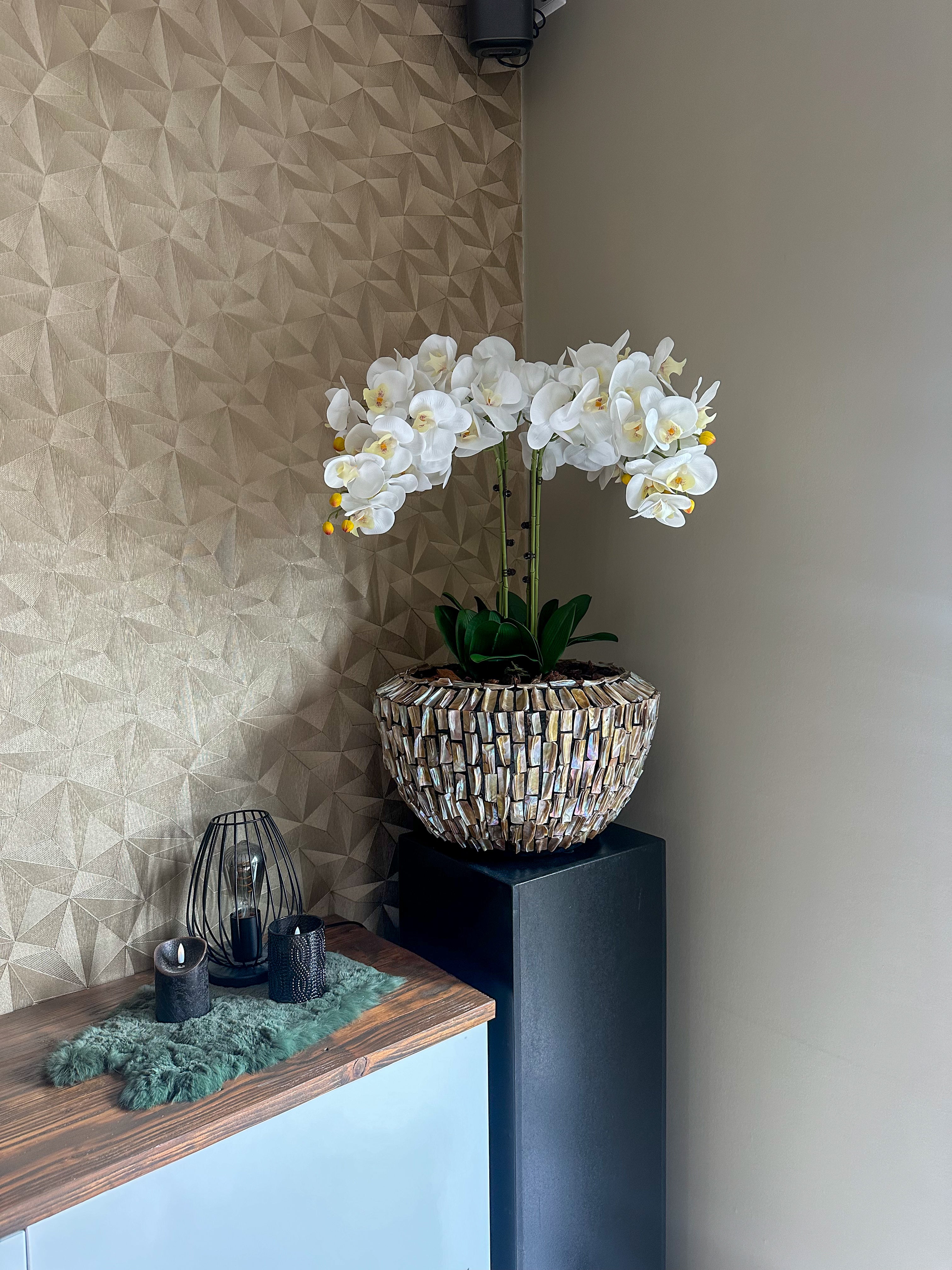 Laguna Luxe Schelpenvaas met orchideeën