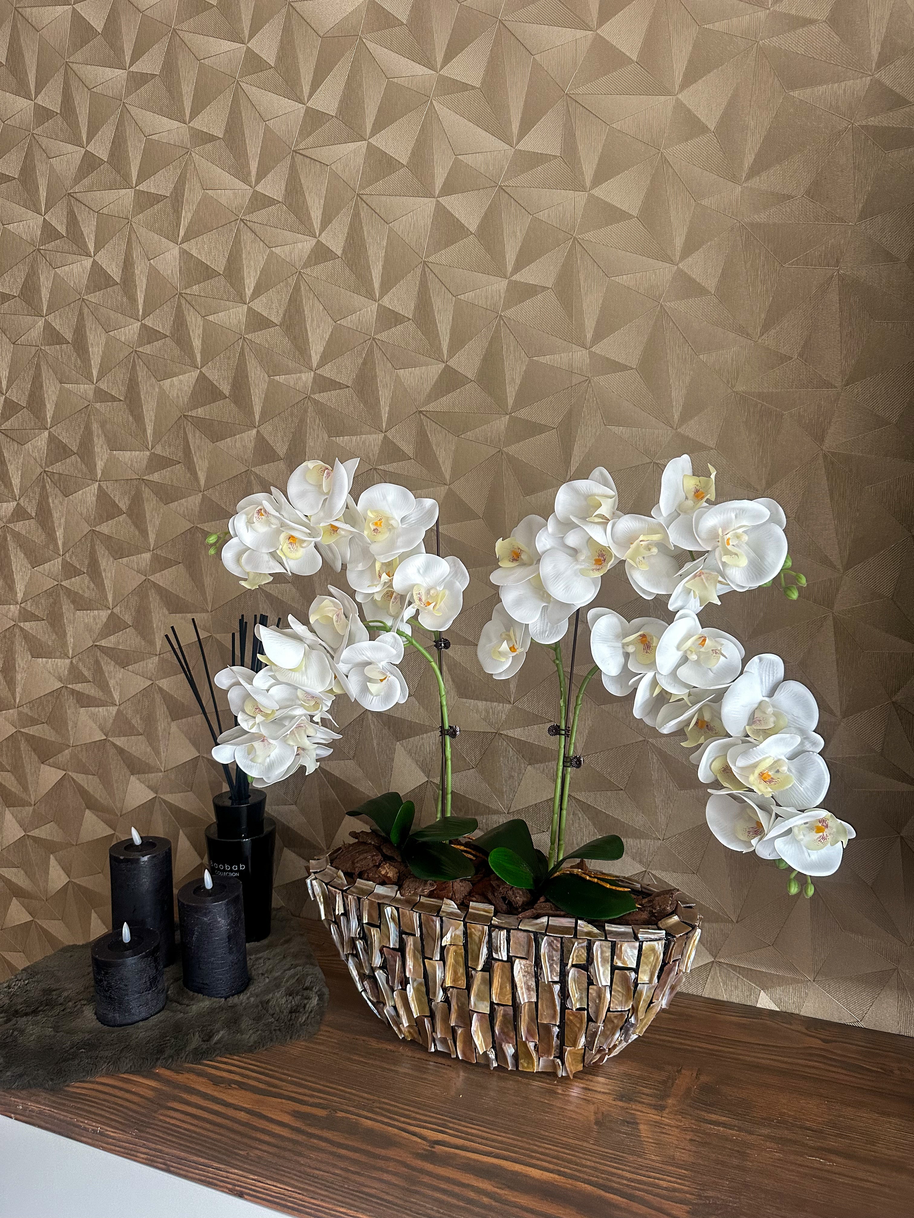 Seaborn Schelpenvaas met orchideeën