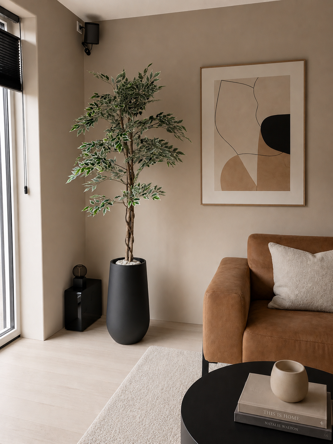 Ficus 160cm