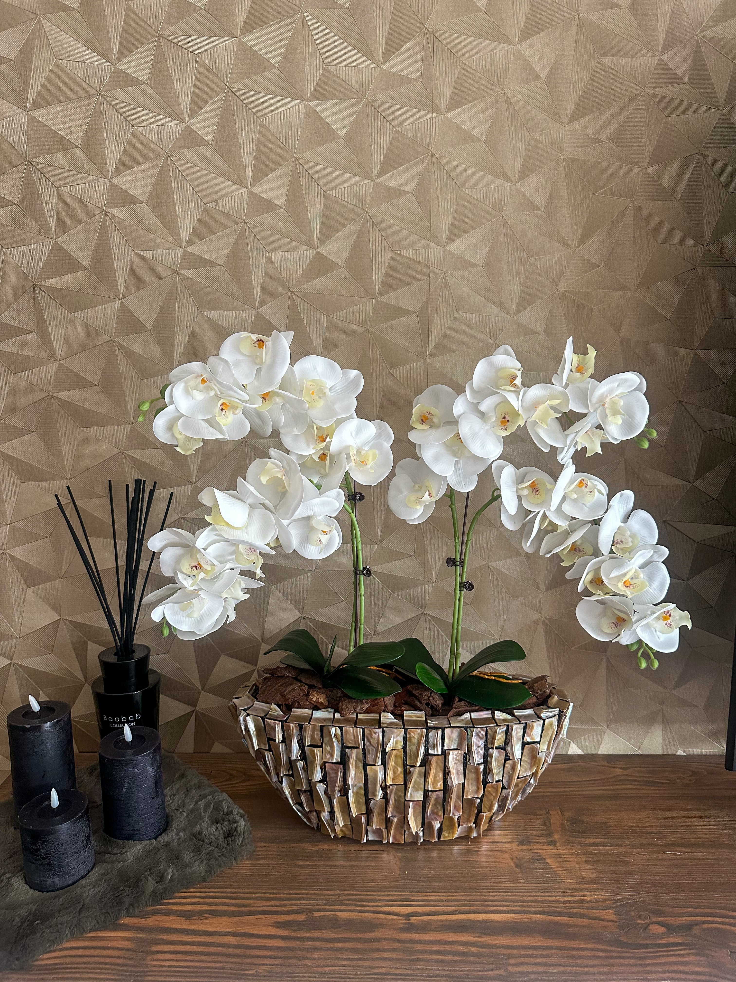 Seaborn Schelpenvaas met orchideeën