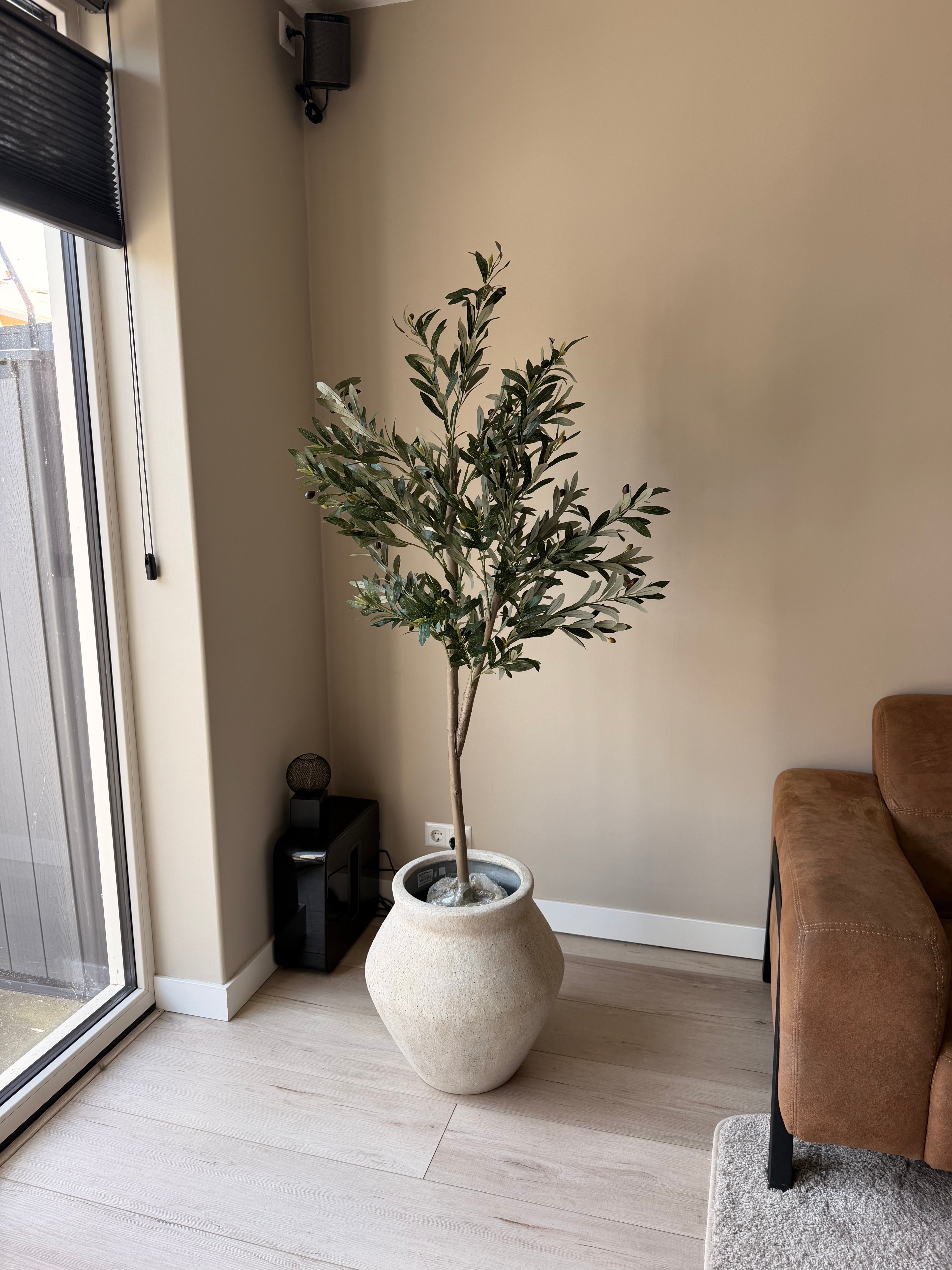 Olijf boom 150cm