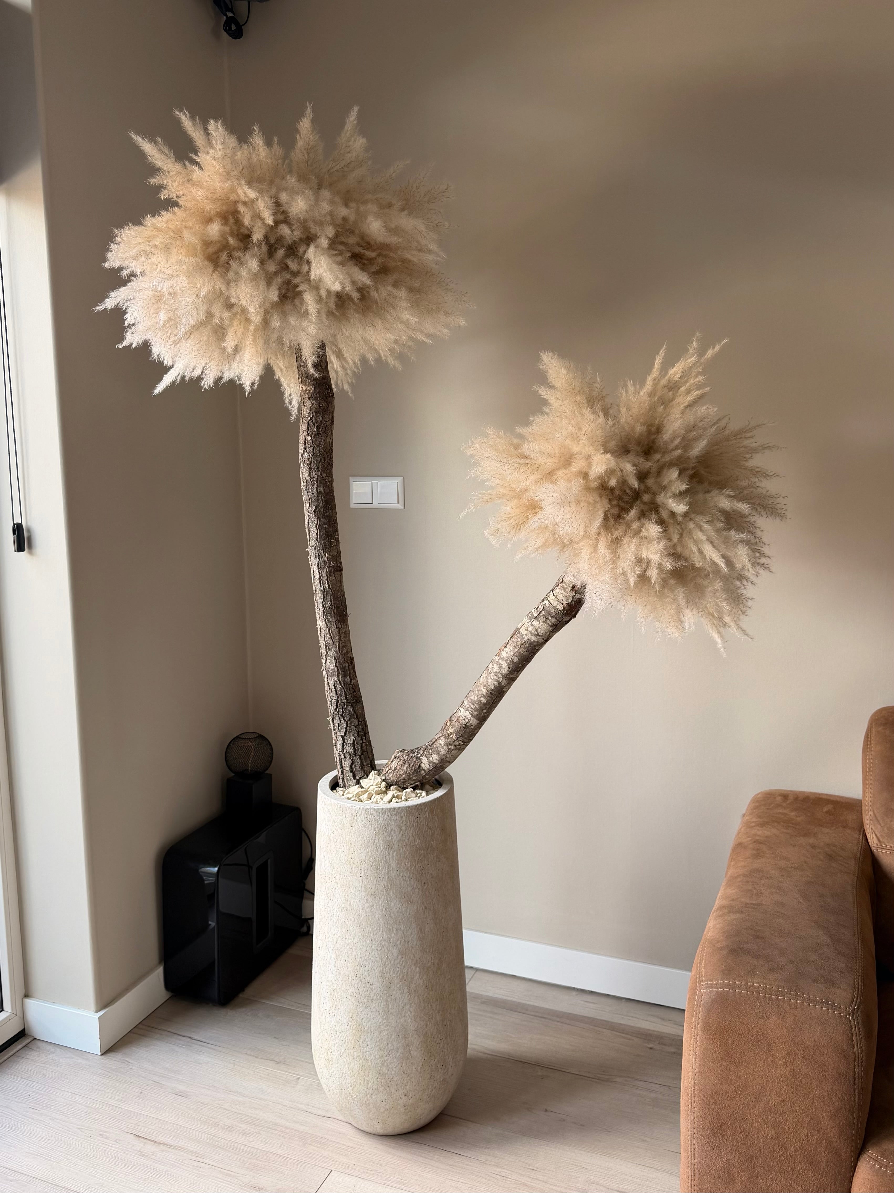 Pampas palm