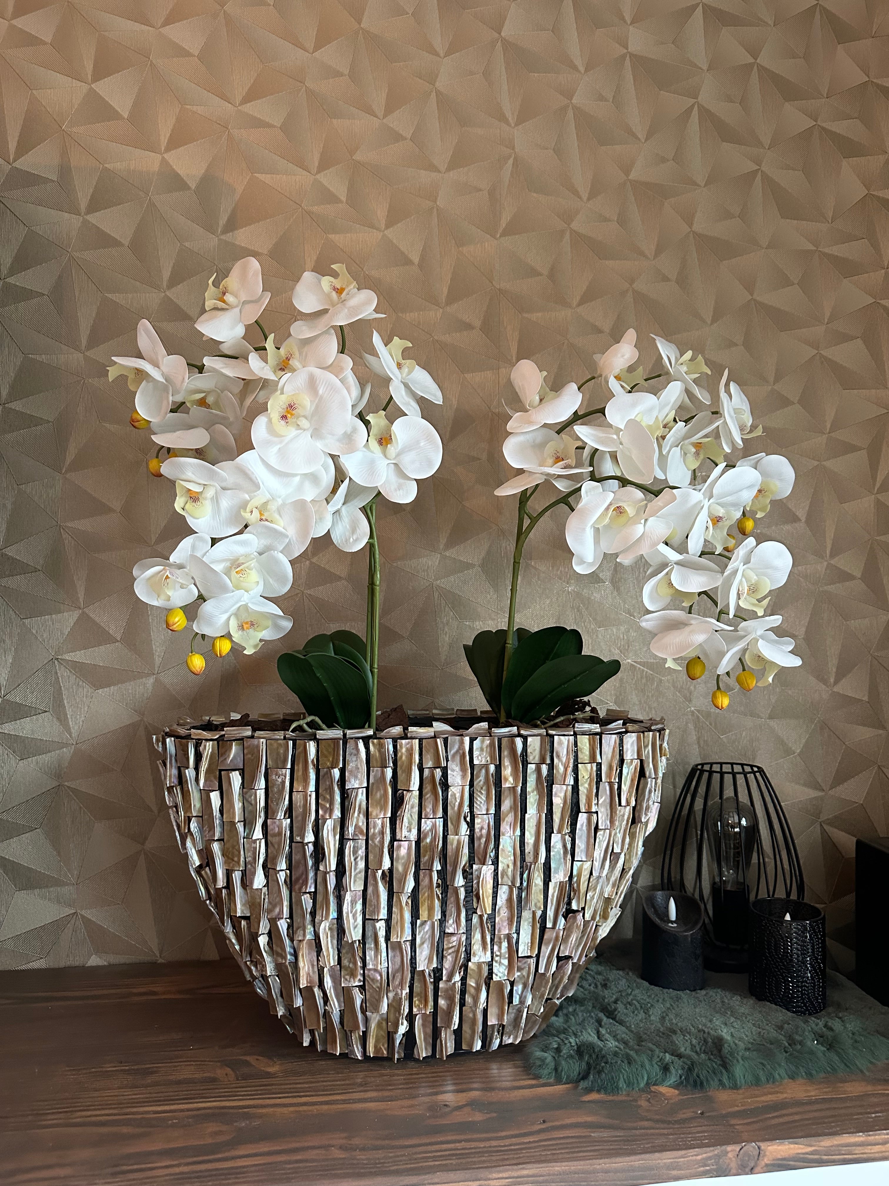 Natura Mare Schelpenvaas met orchideeën