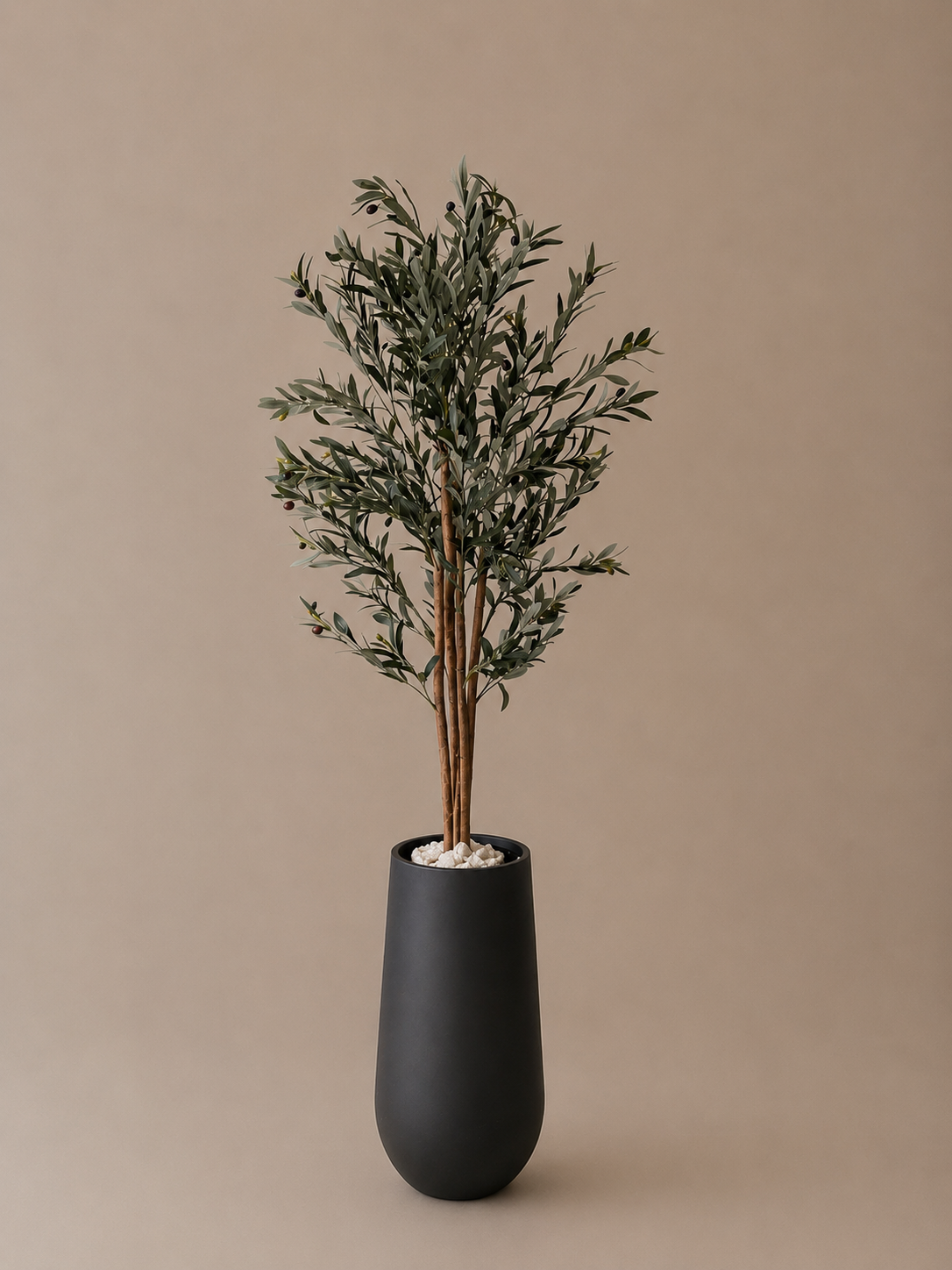 Olijf boom 150cm