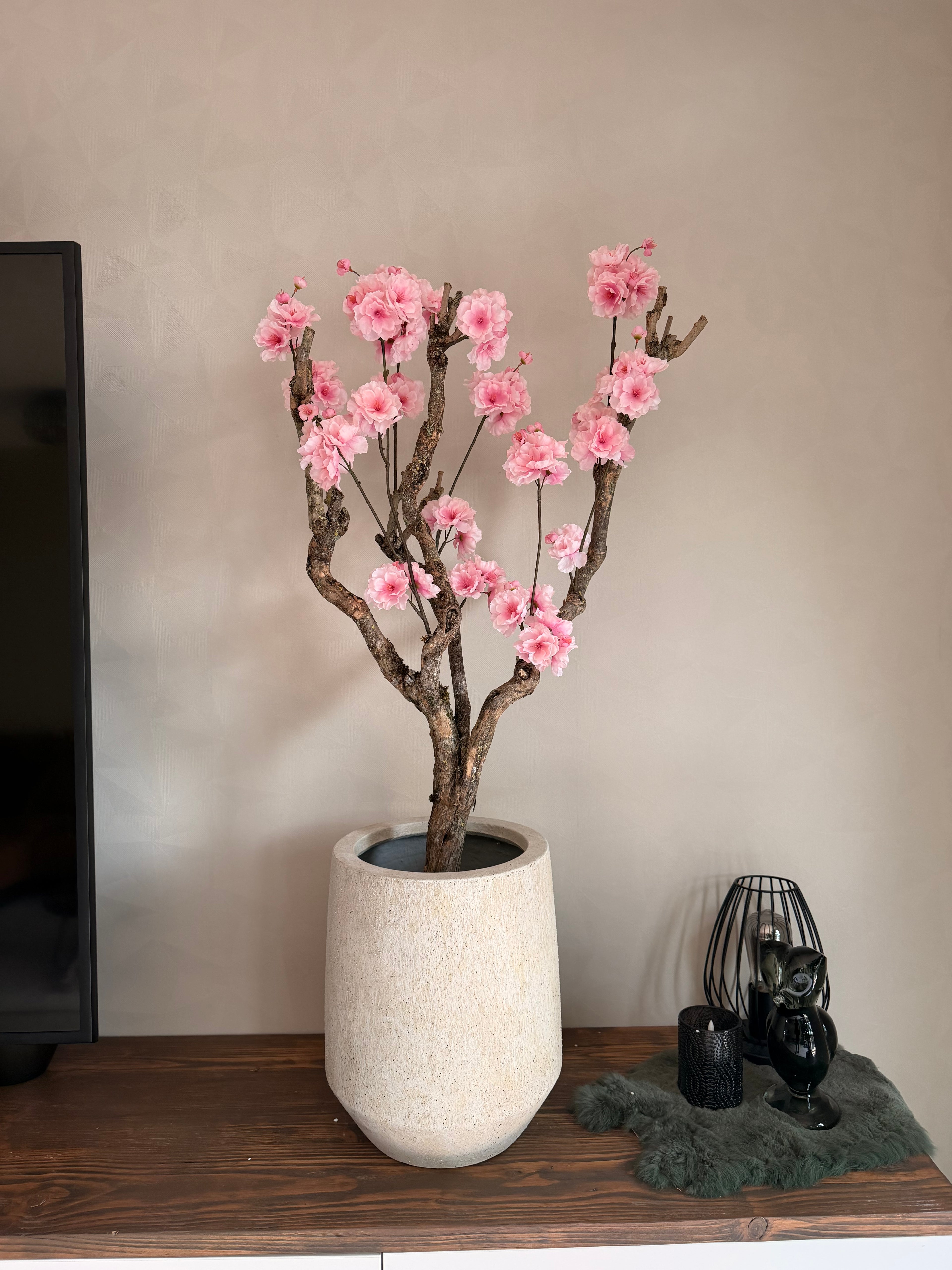 Bloesemboom licht roze