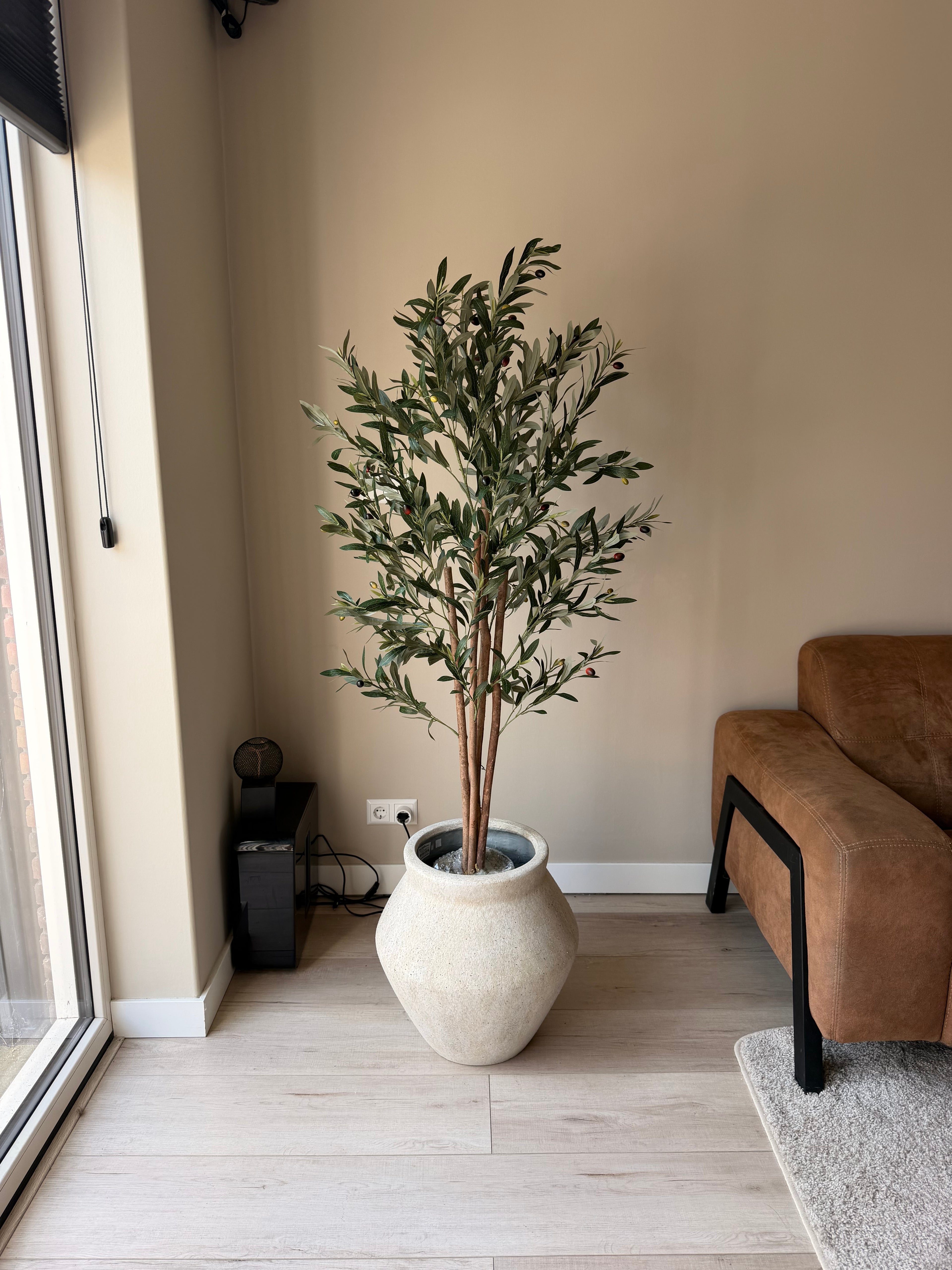 Olijf boom 150cm