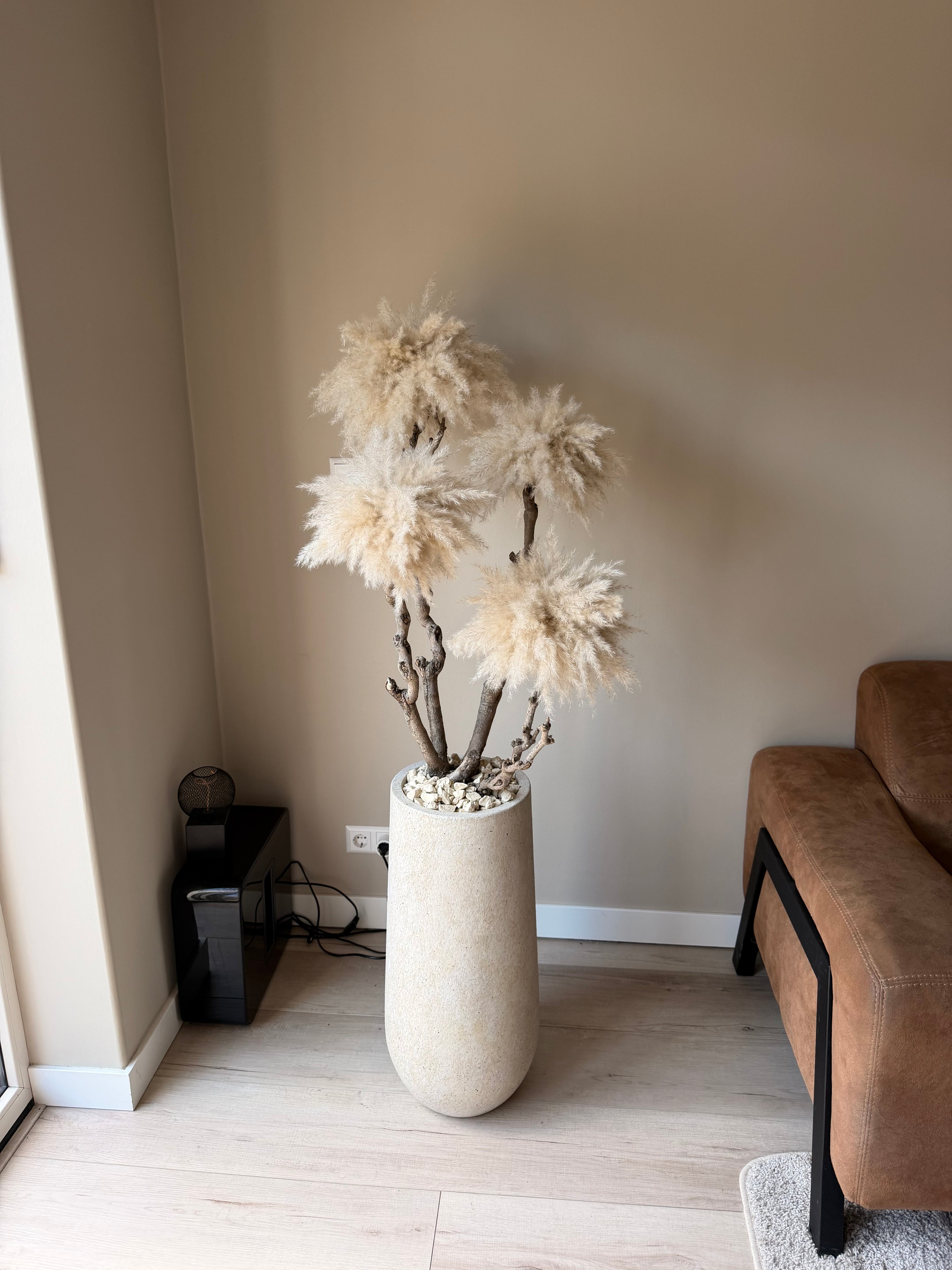 Golden dune pampas
