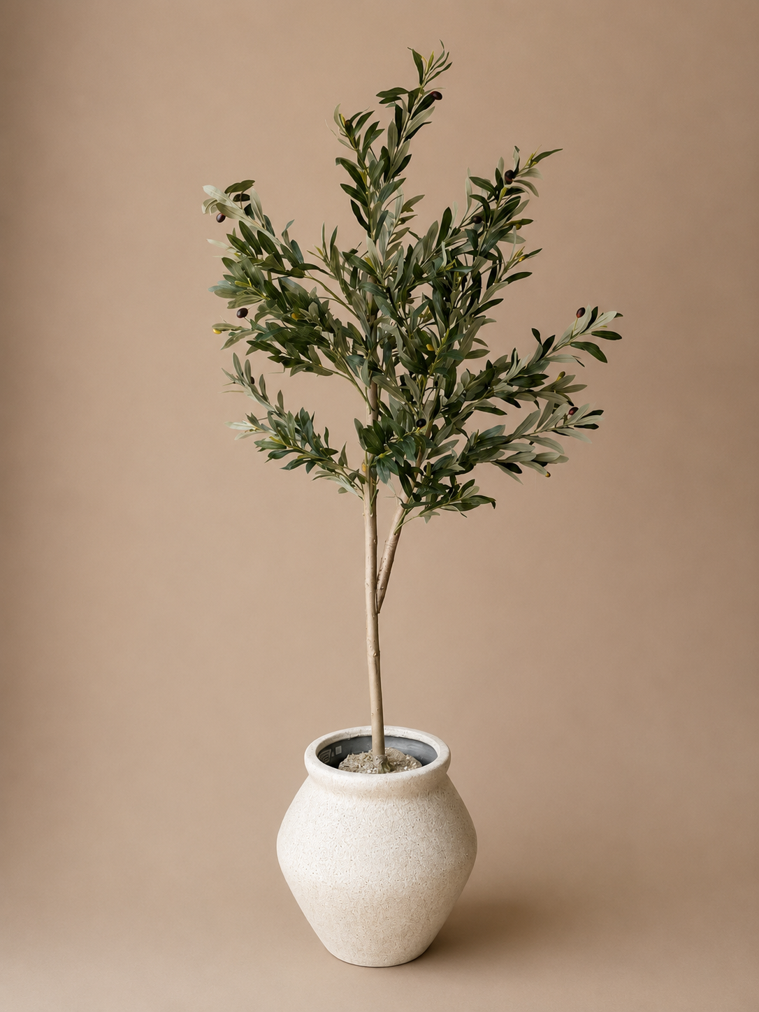 Olijf boom 150cm