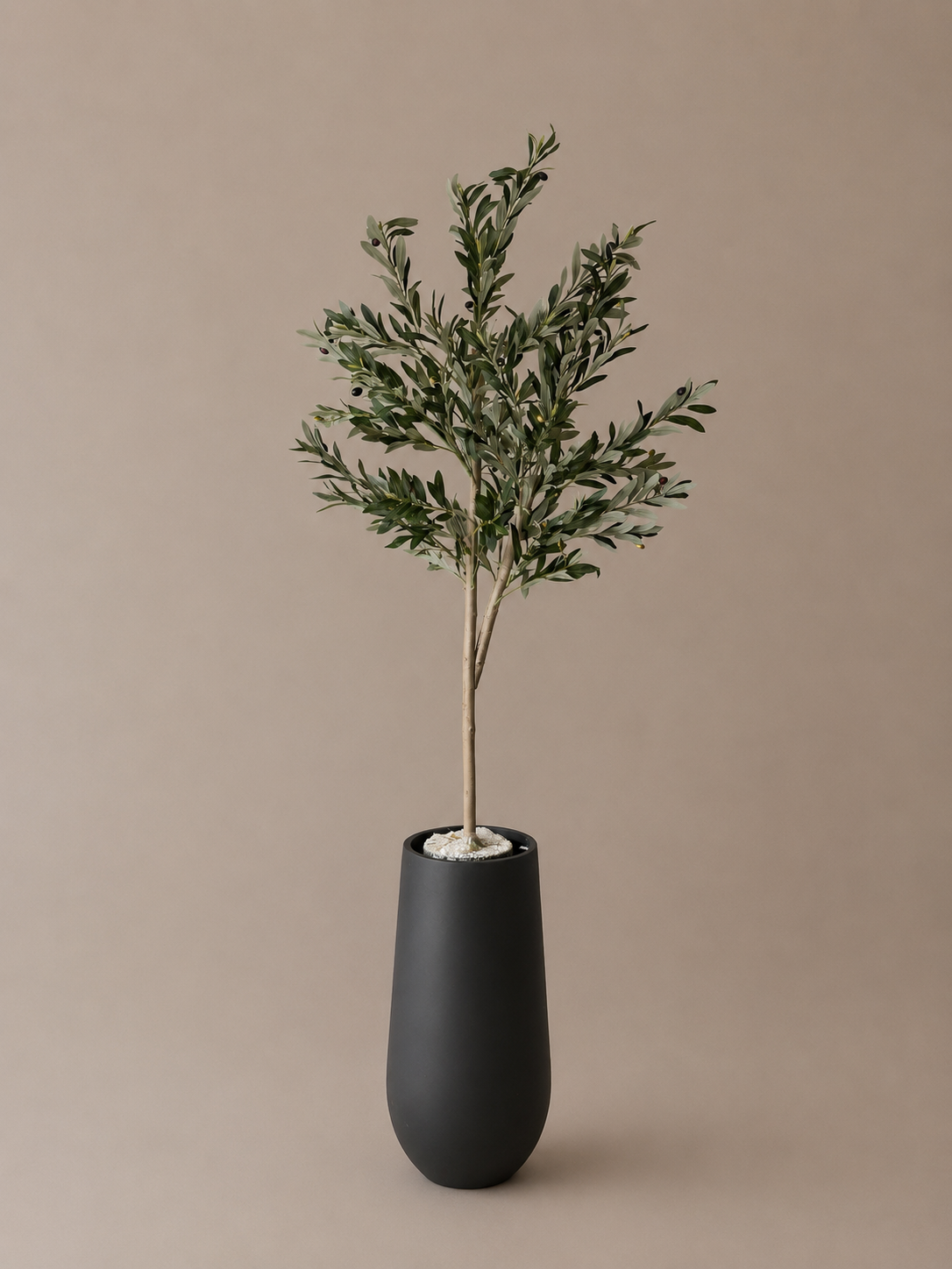 Olijf boom 150cm