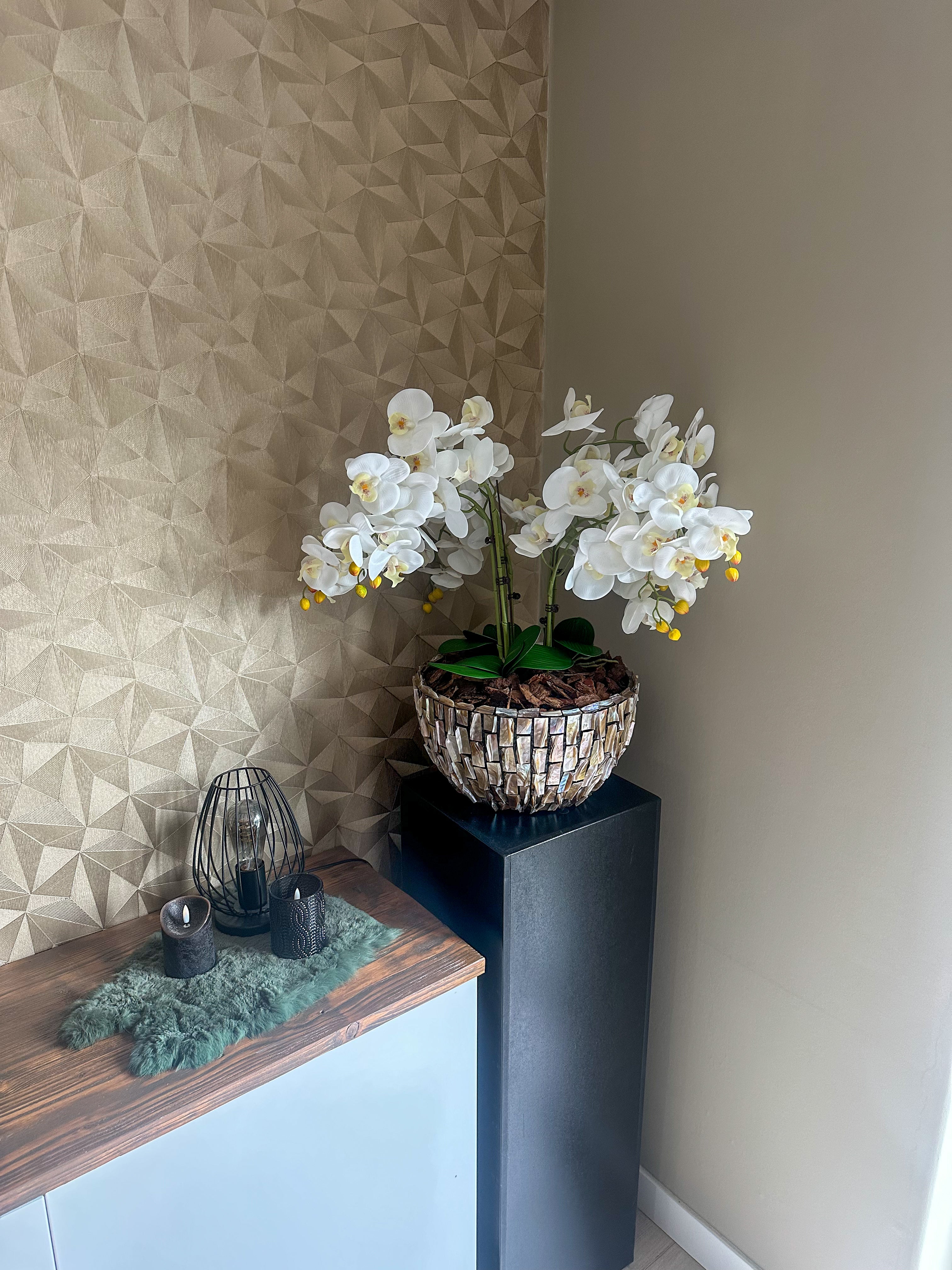 AquaMosaic Schelpenvaas met orchideeën