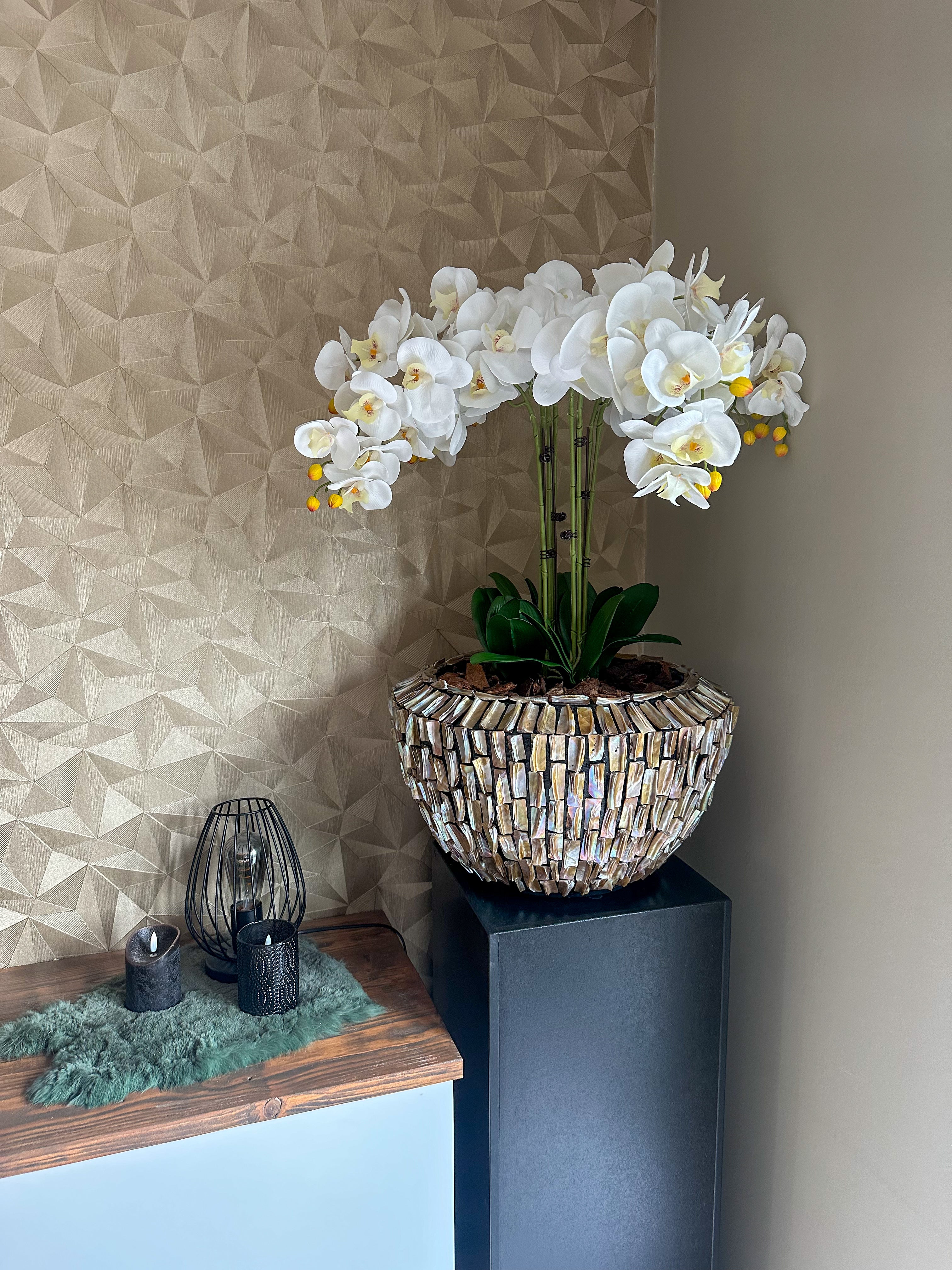 Laguna Luxe Schelpenvaas met orchideeën