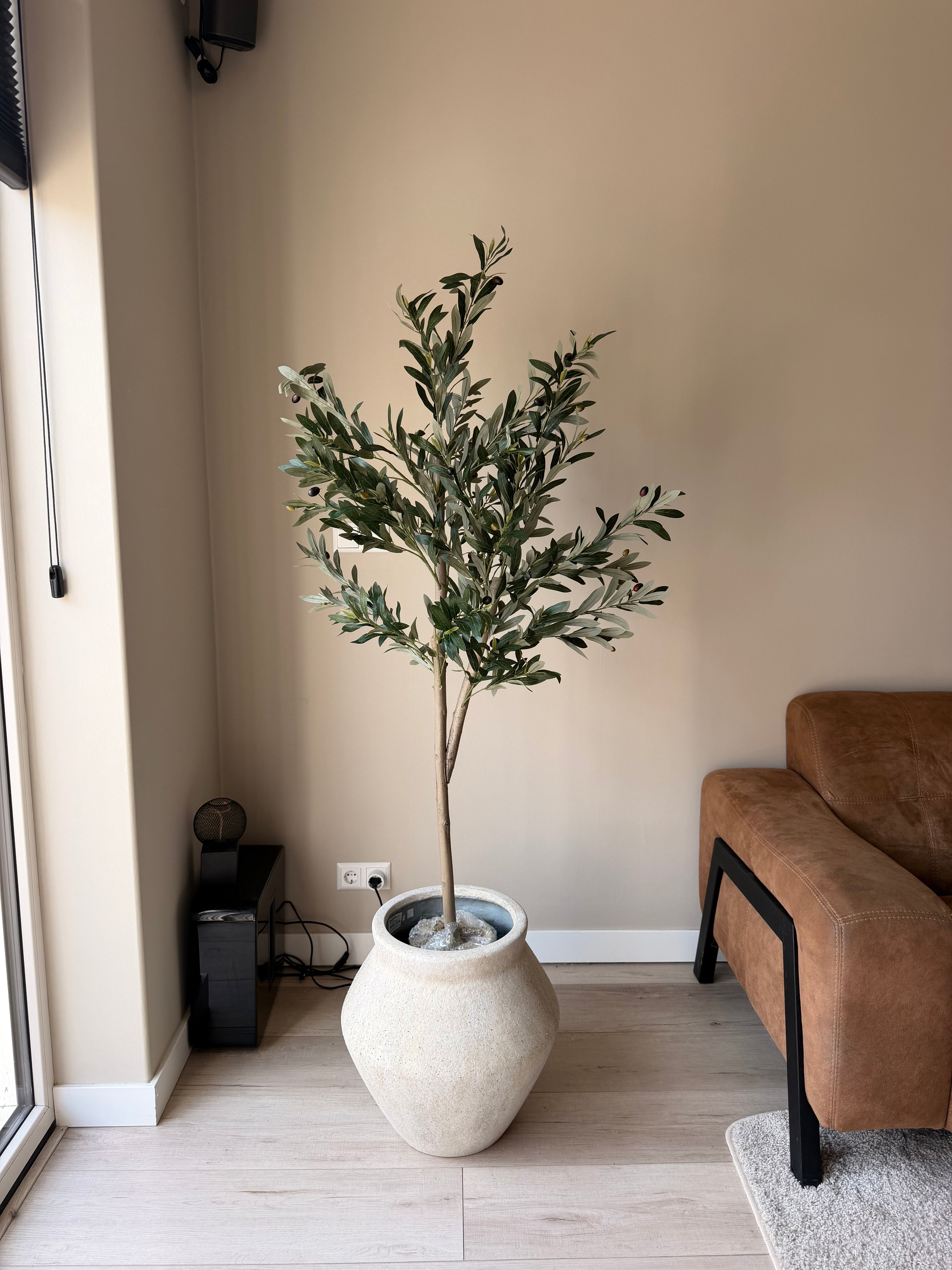 Olijf boom 150cm