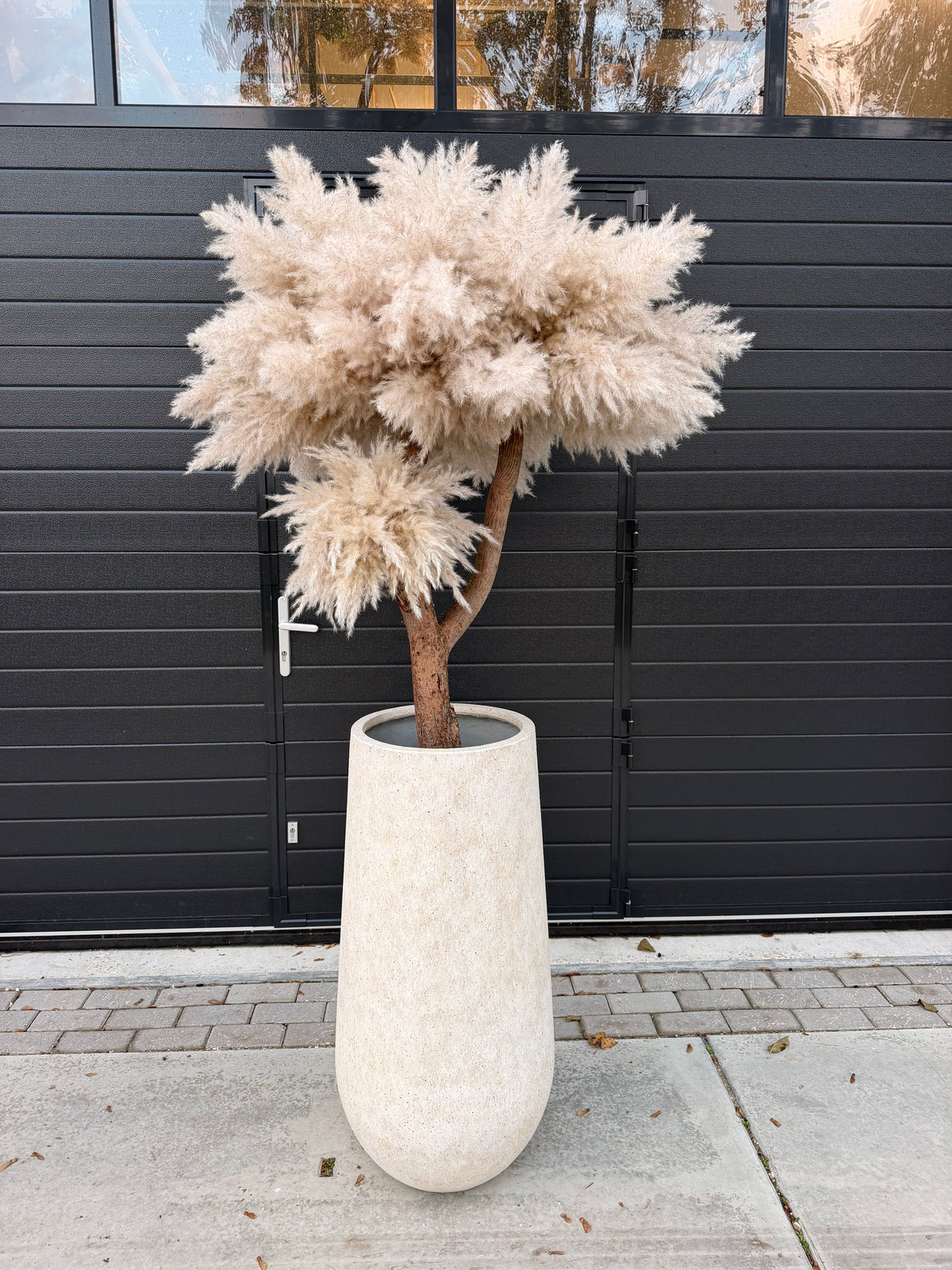 Ravéline Pampas