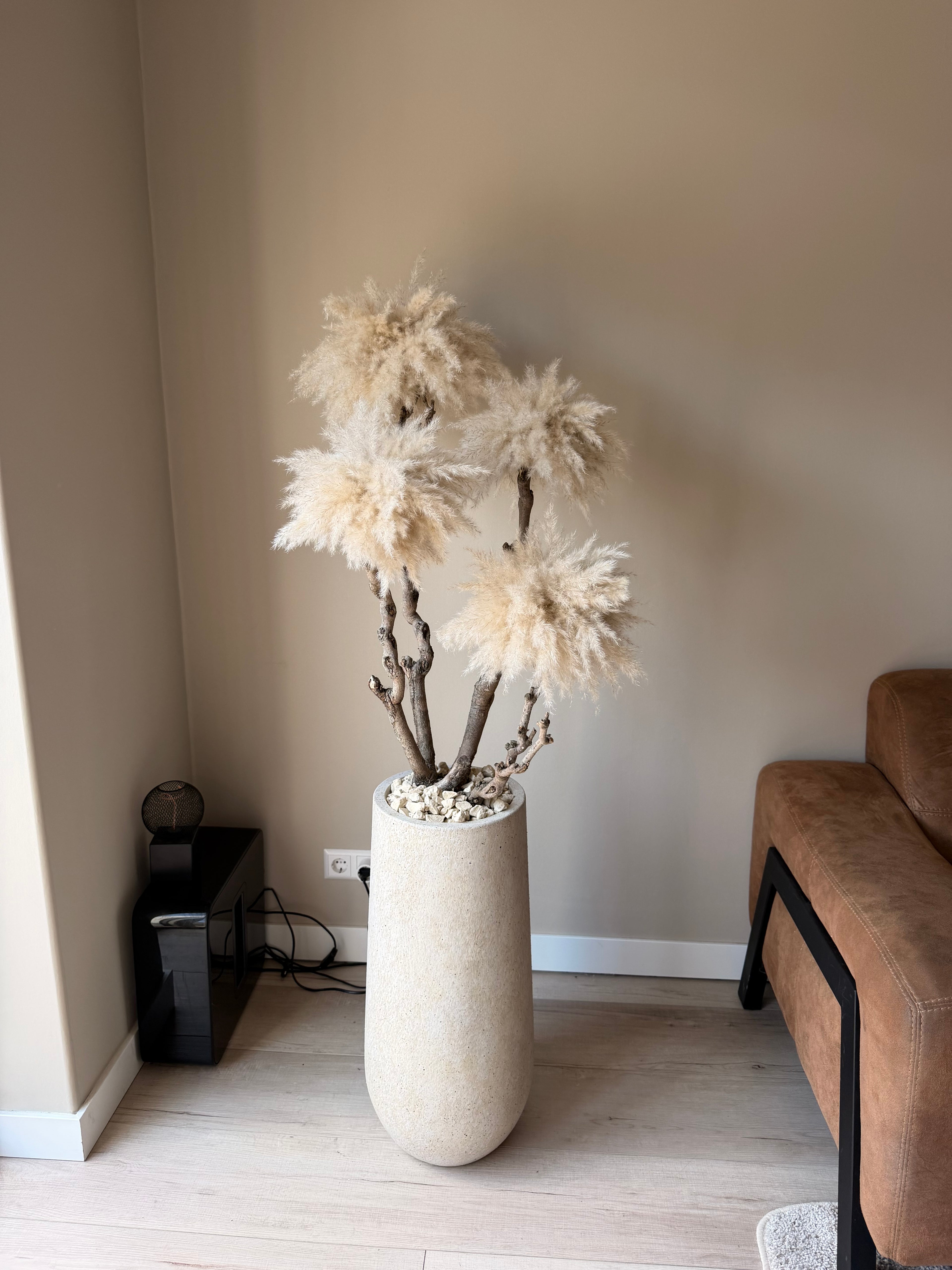 Golden dune pampas