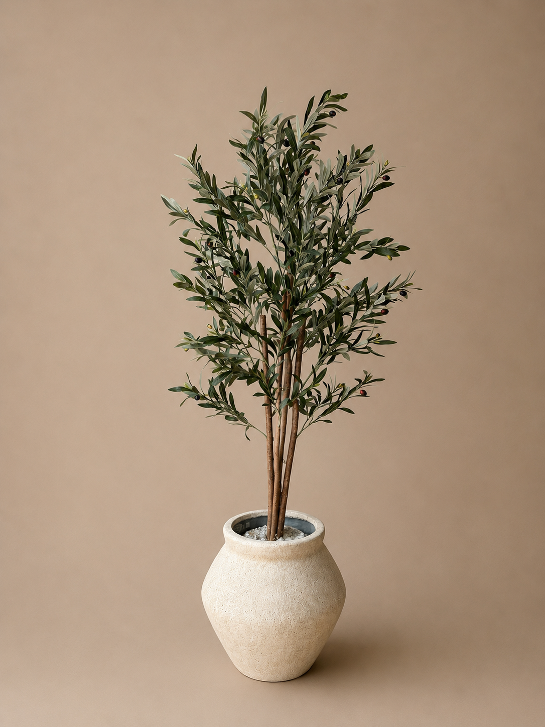 Olijf boom 150cm