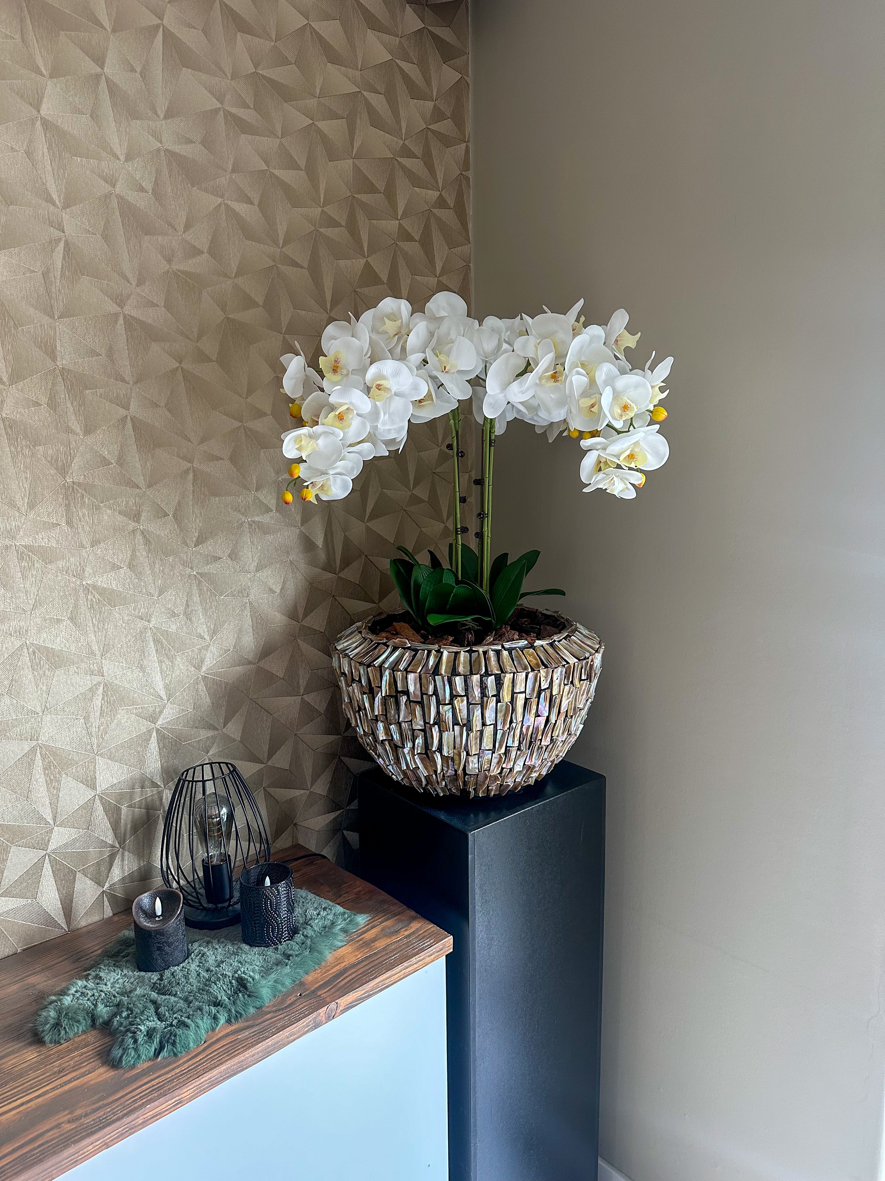 Laguna Luxe Schelpenvaas met orchideeën