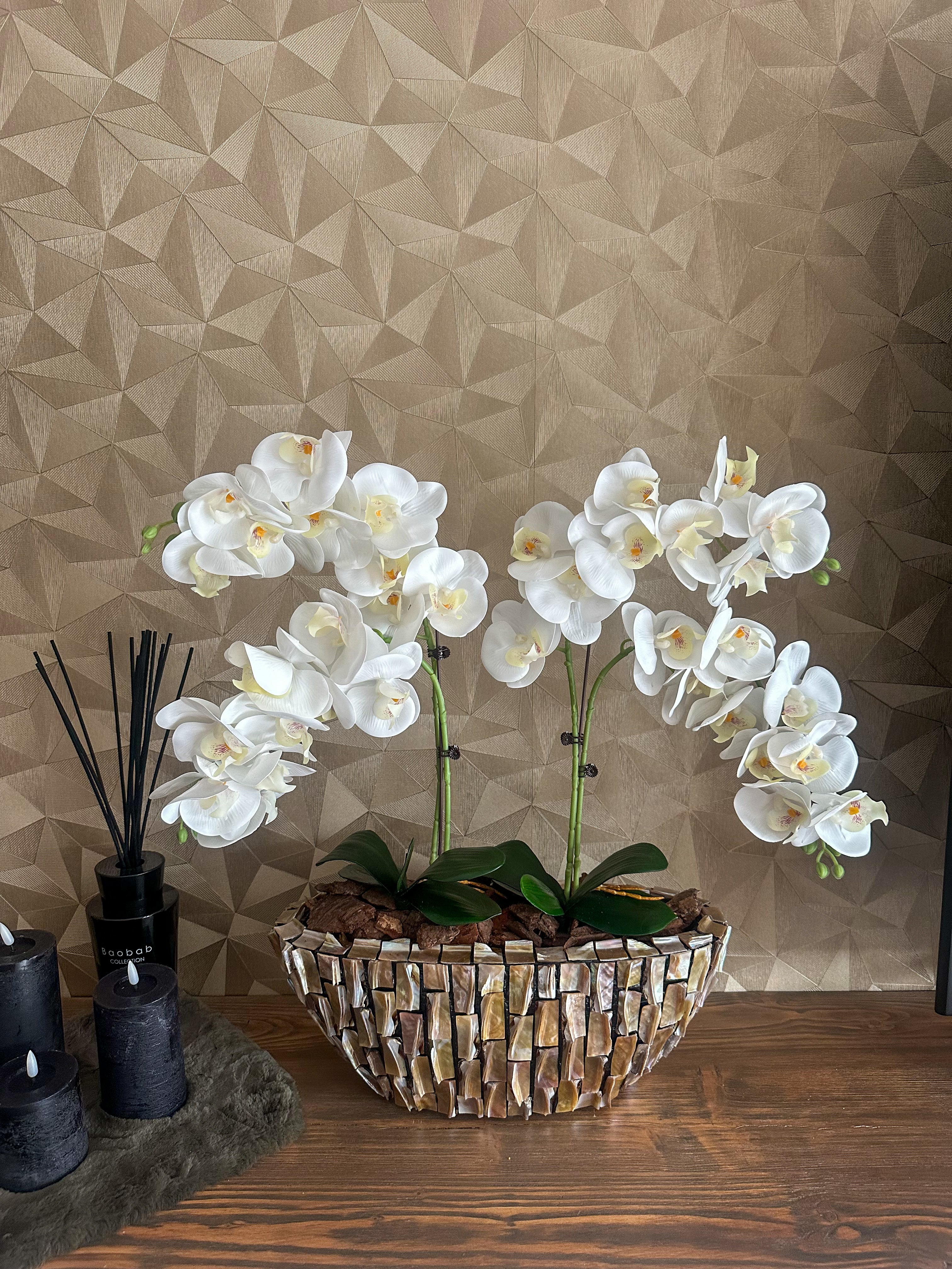 Seaborn Schelpenvaas met orchideeën