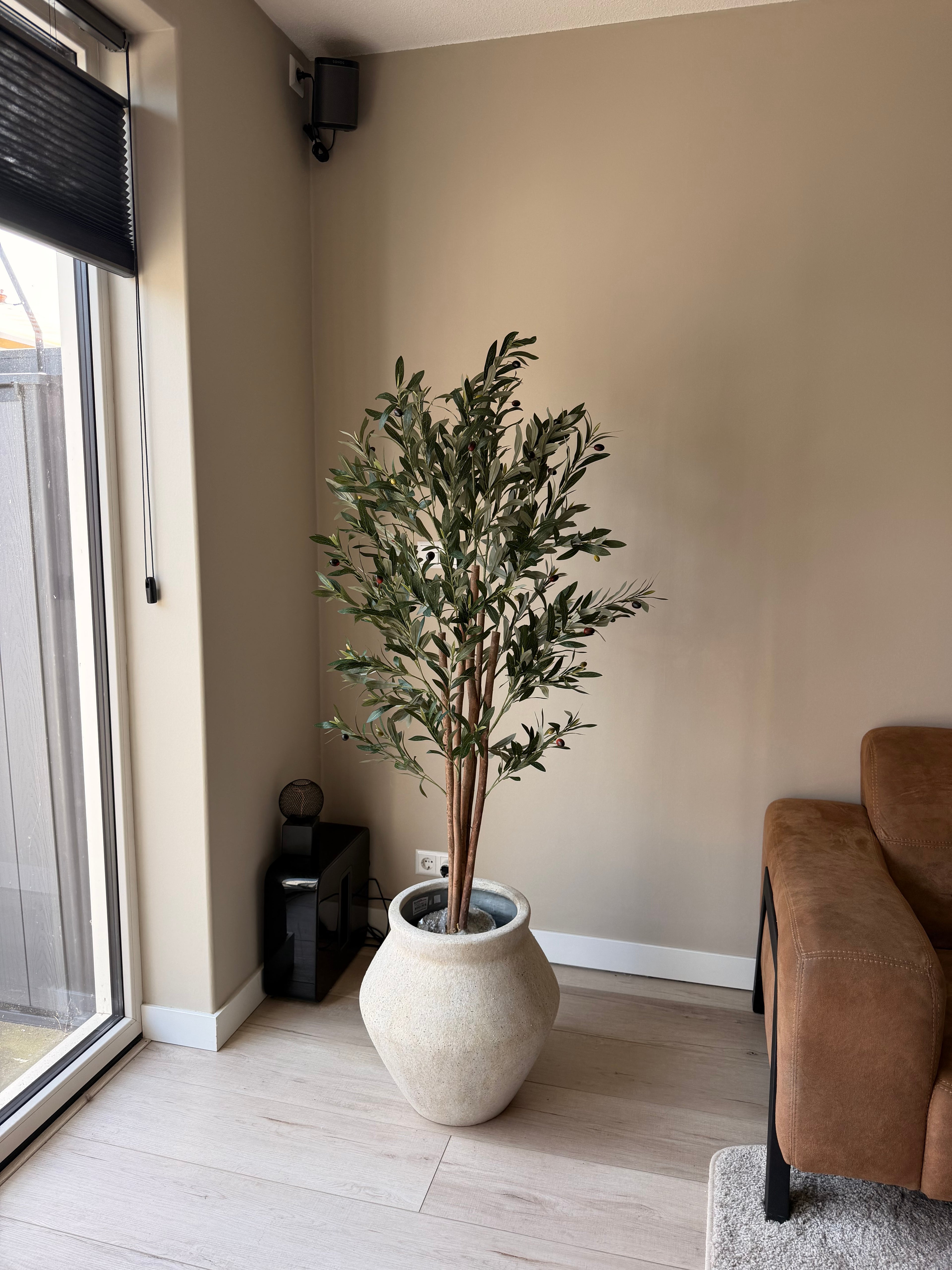 Olijf boom 150cm