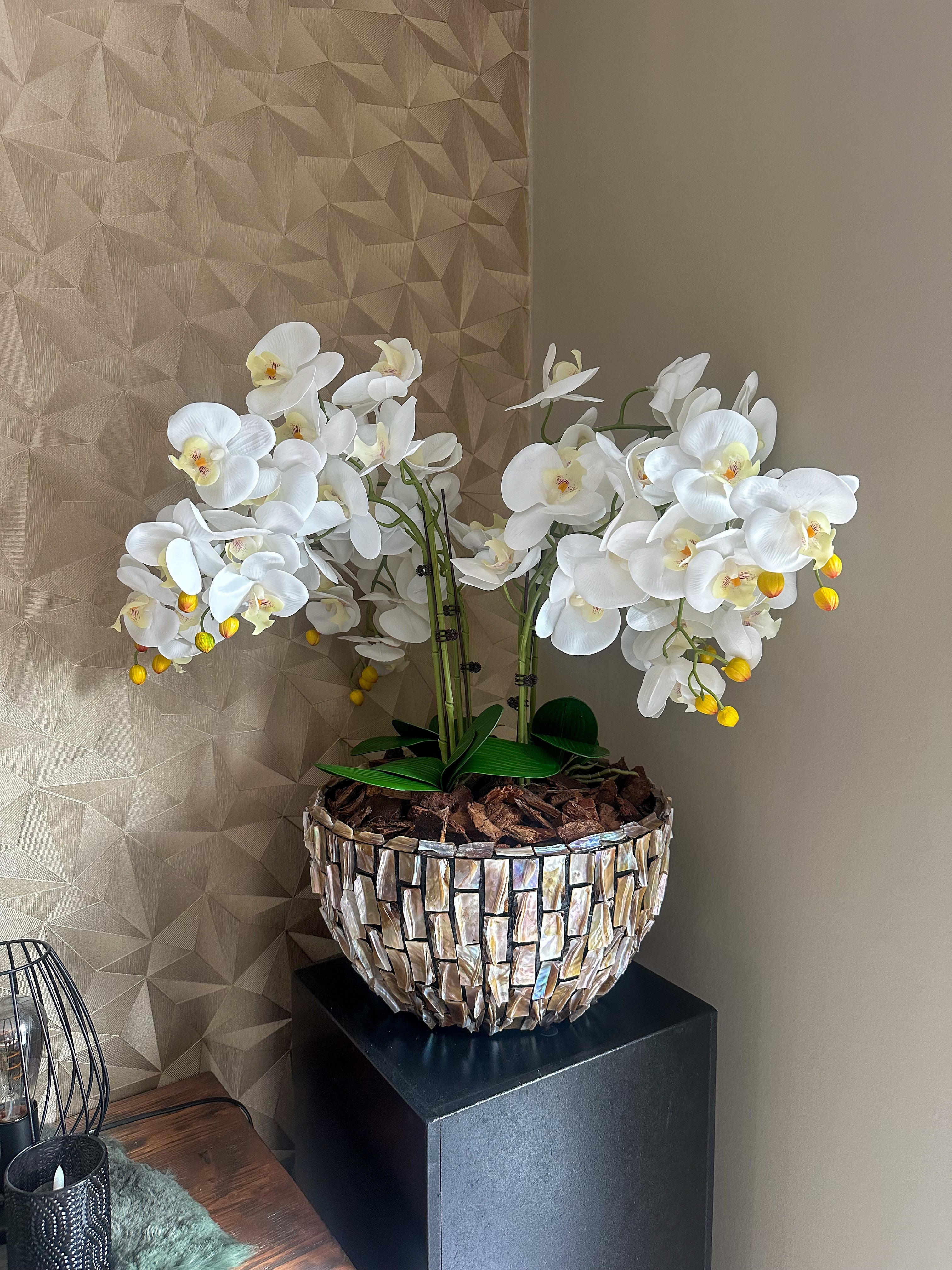 AquaMosaic Schelpenvaas met orchideeën