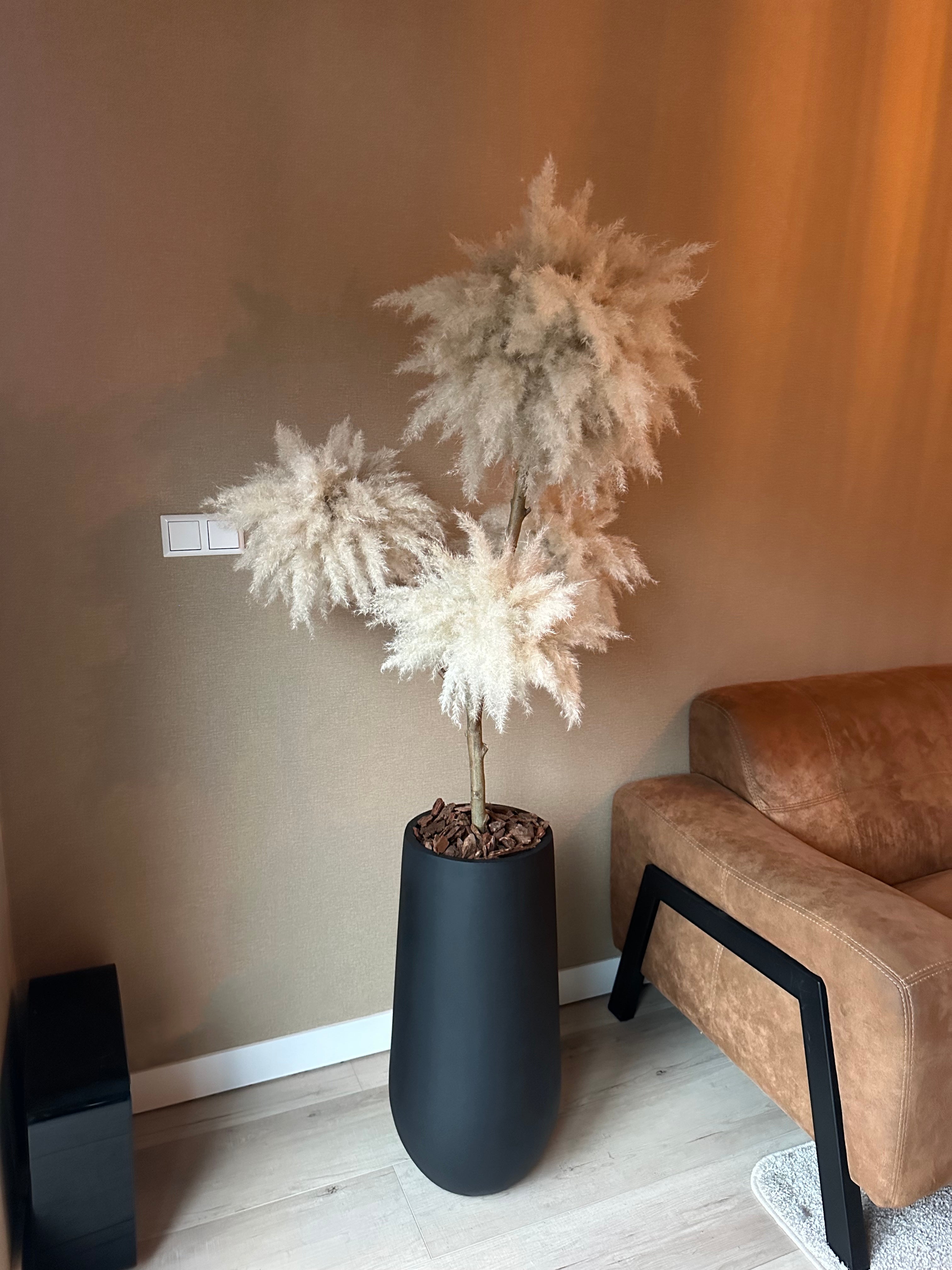 Fluffy Pampas Tree