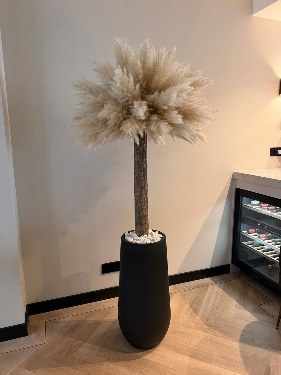 Verdura Pampas