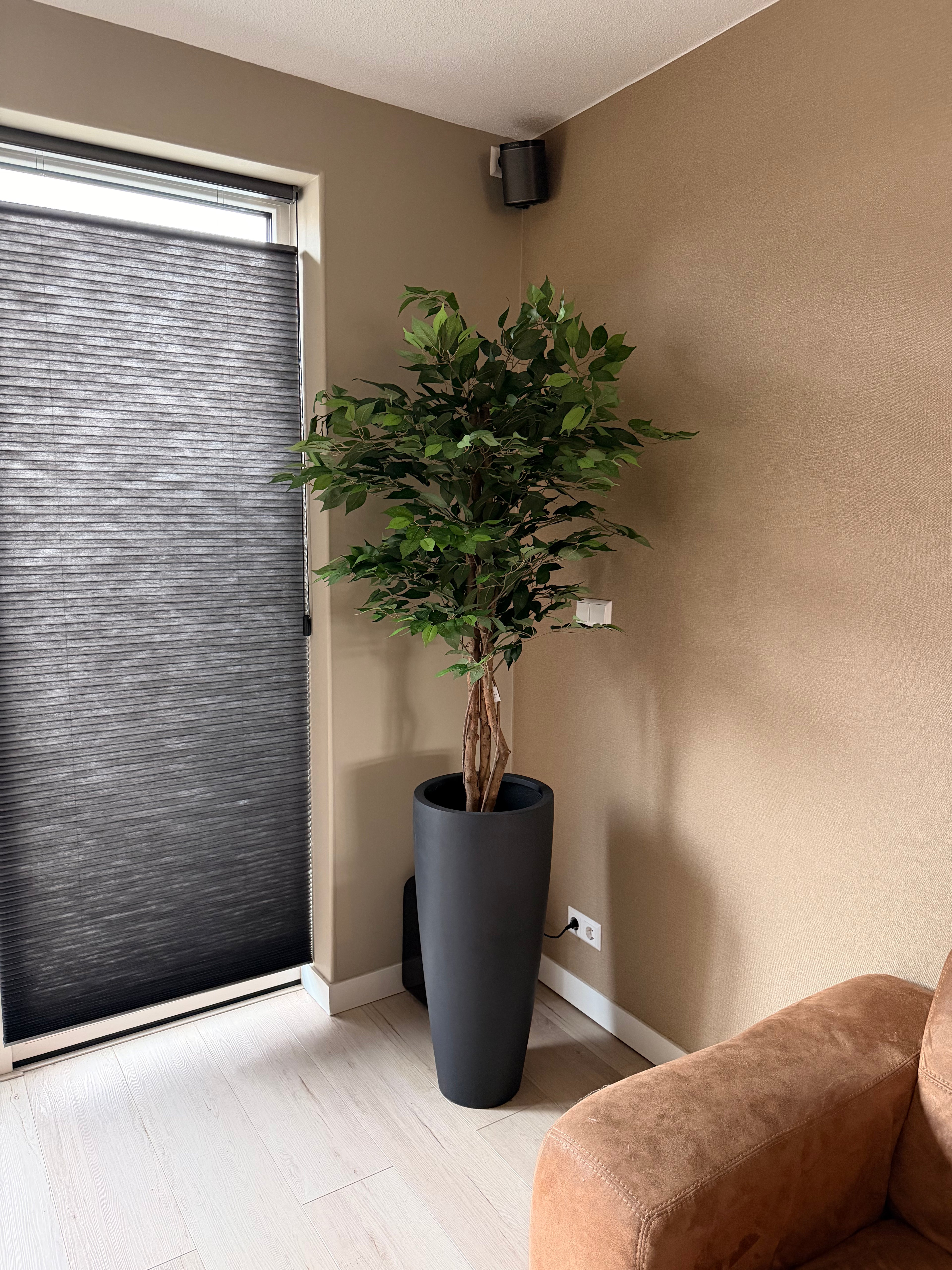 Urban Ficus Noir – Kunstboom met Pot