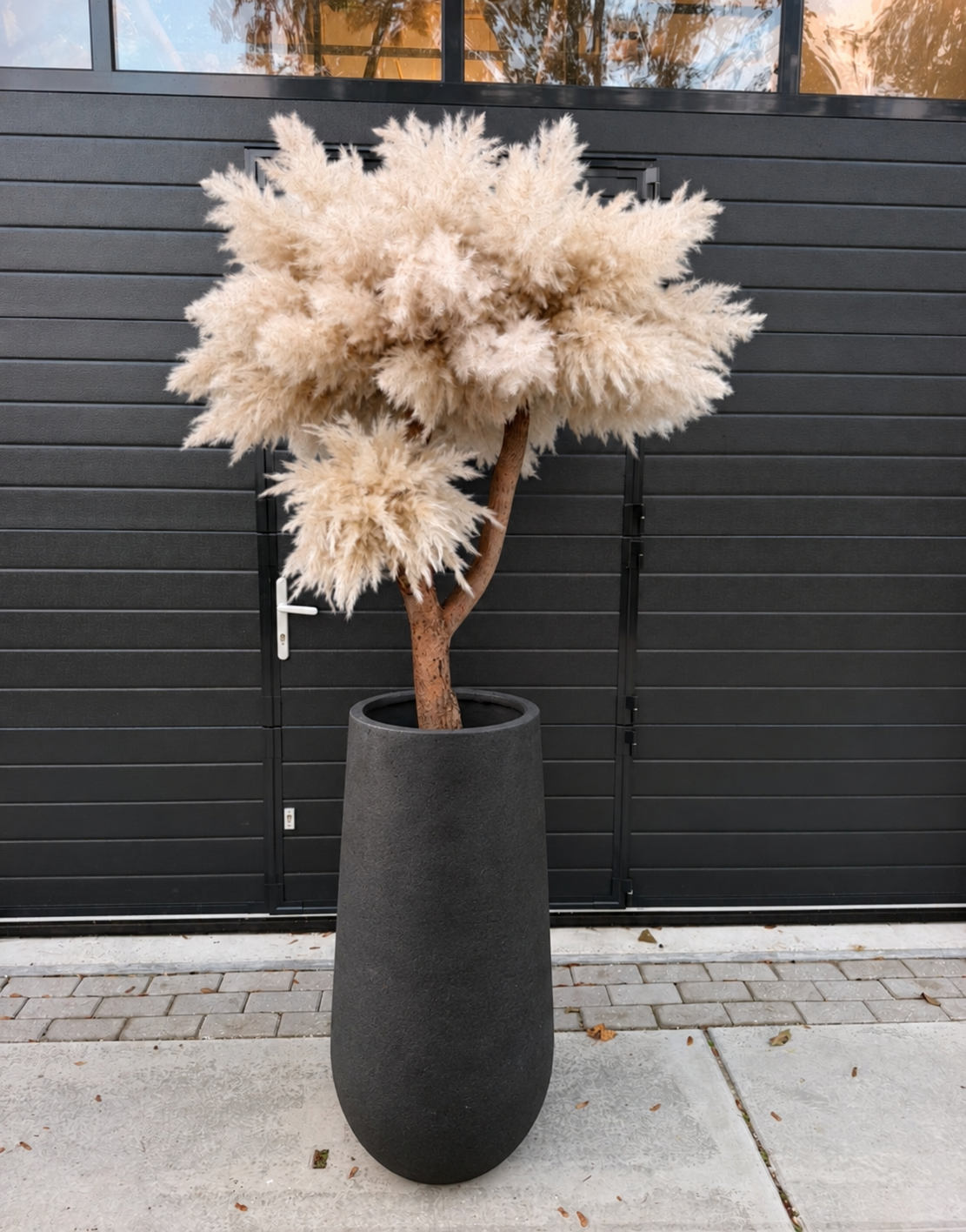 Pampas du luxe