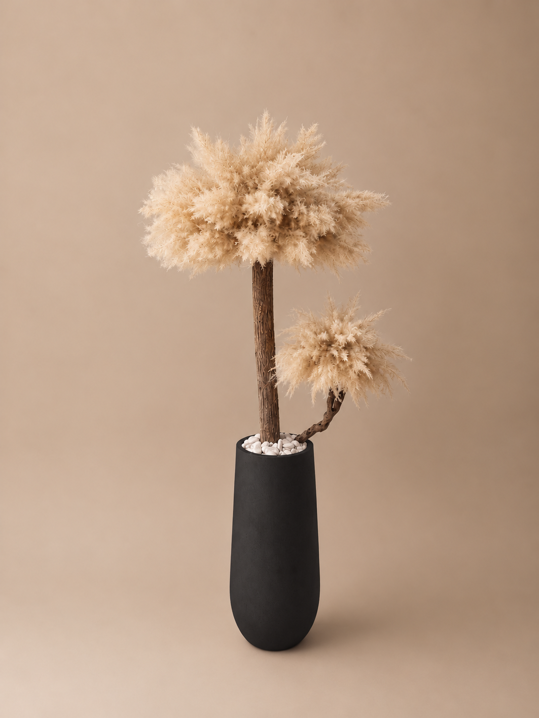 Pampas monarch (zwarte pot) direct leverbaar