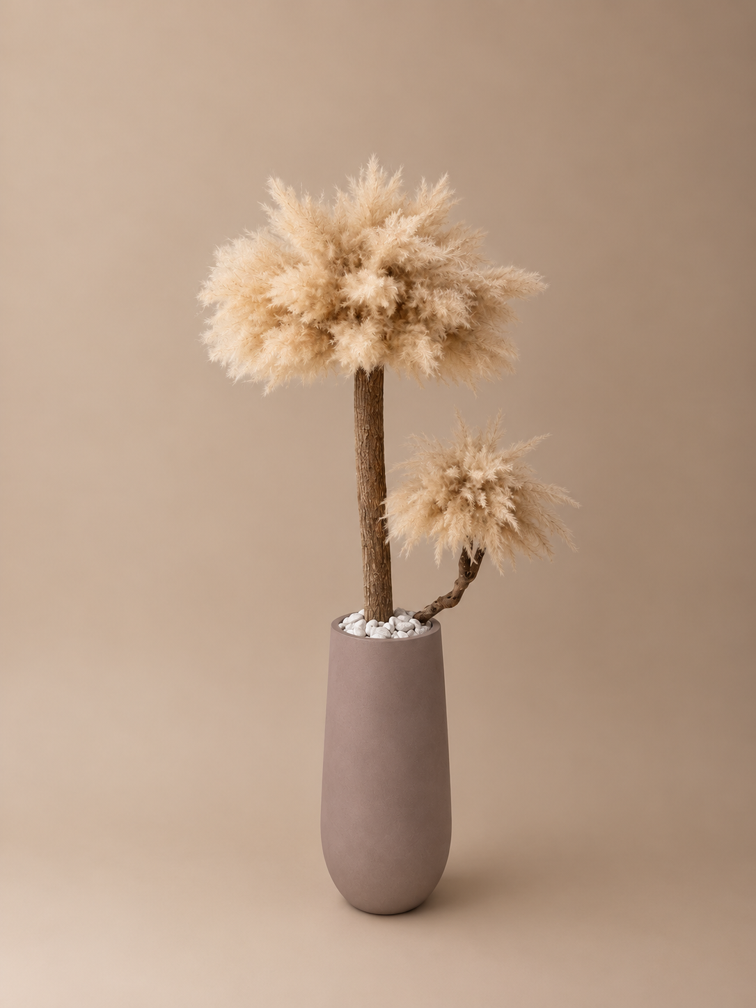 Pampas monarch (taupe pot) direct leverbaar