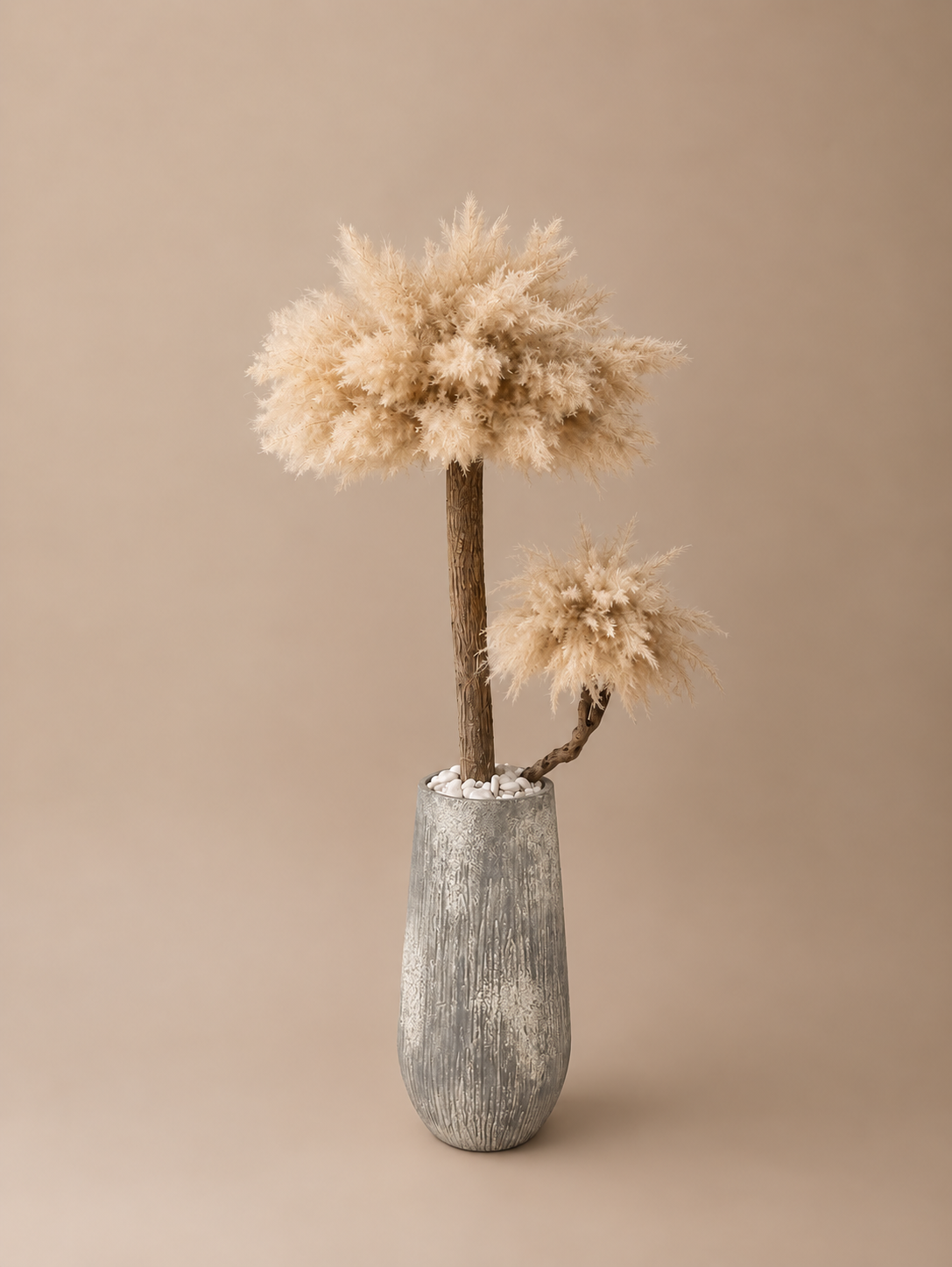 Pampas monarch (Imperial white pot) direct leverbaar