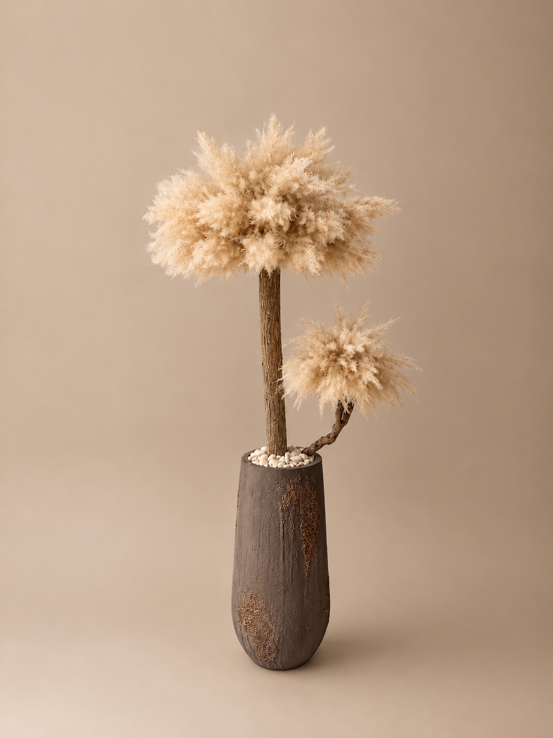 Pampas monarch (Imperial Brown pot) direct leverbaar