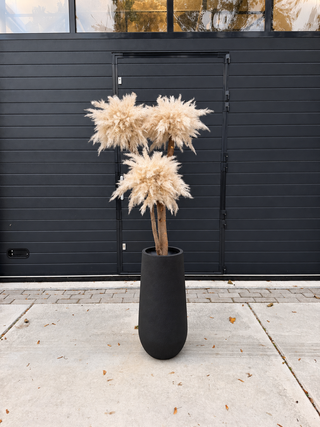 Solvienne Pampas (zwart pot) direct leverbaar