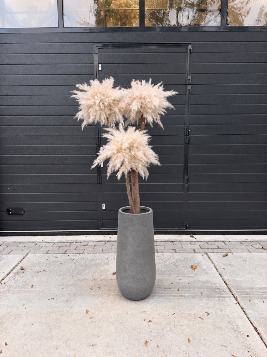 Solvienne Pampas (grijs pot) direct leverbaar