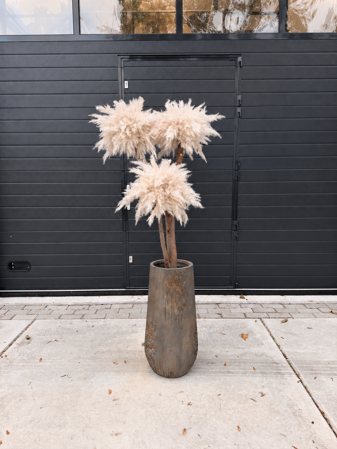 Solvienne Pampas (Imperial Brown  pot) direct leverbaar