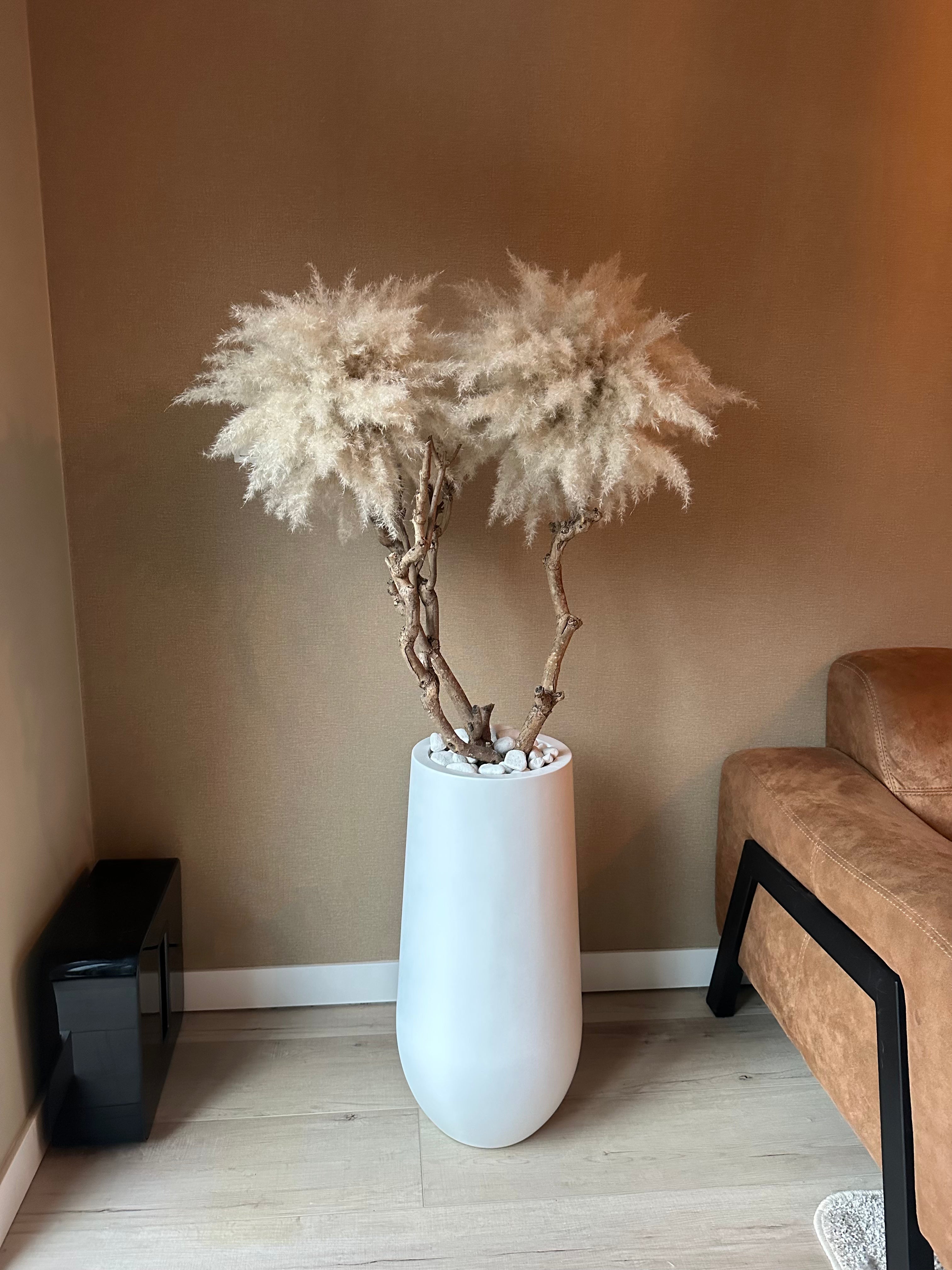 Cozy Pampas Tree