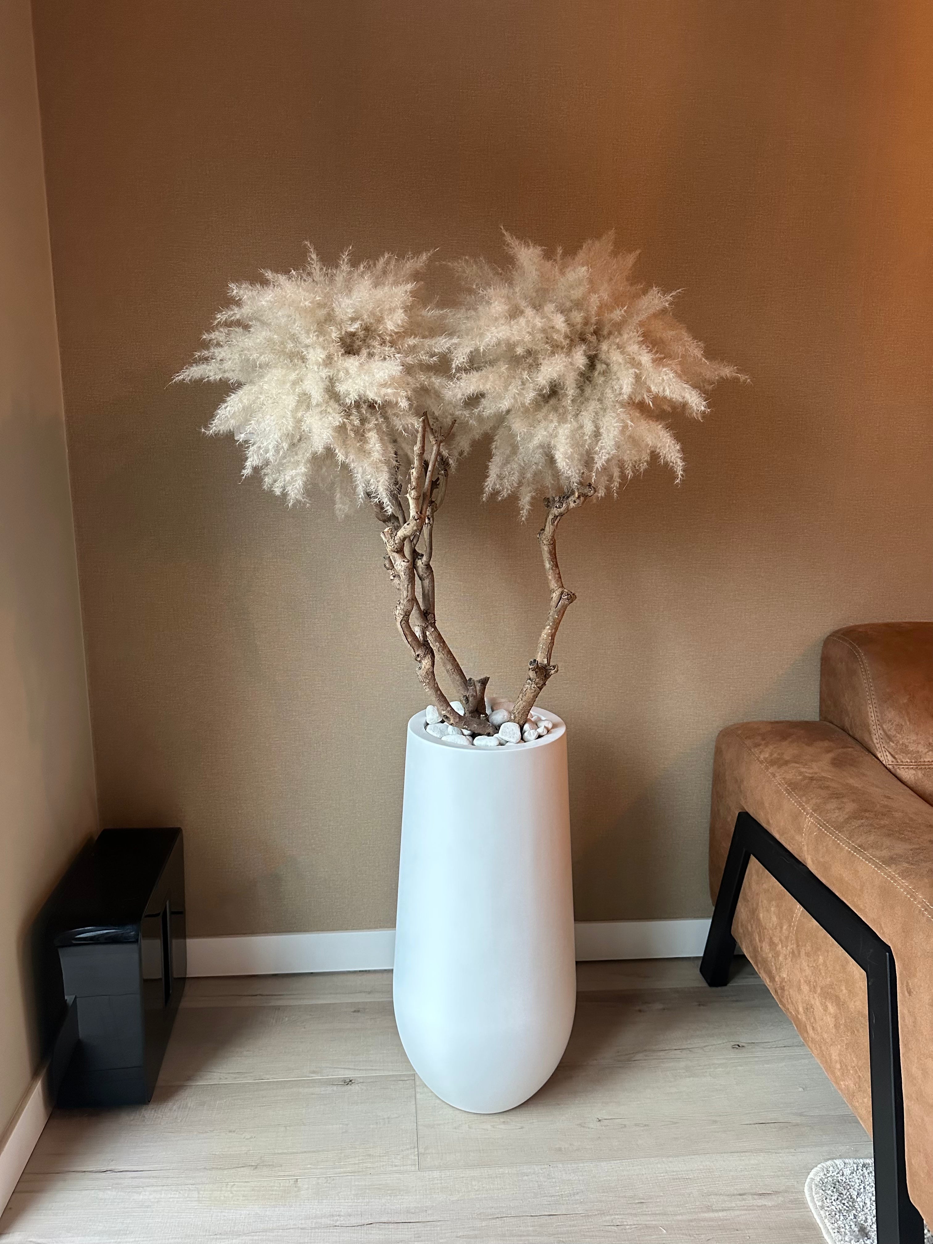 Cozy Pampas Tree