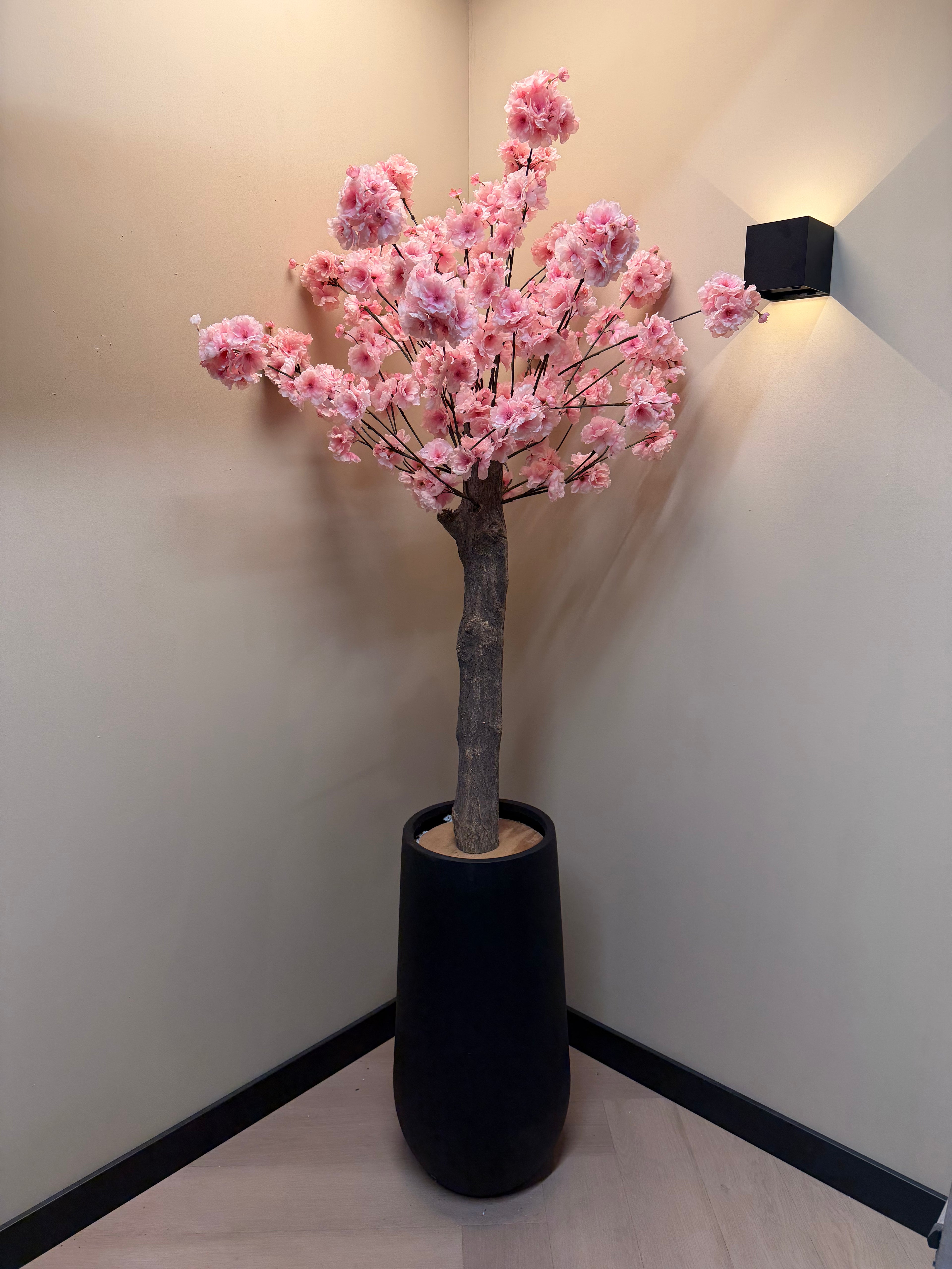 Grote bloesemboom roze