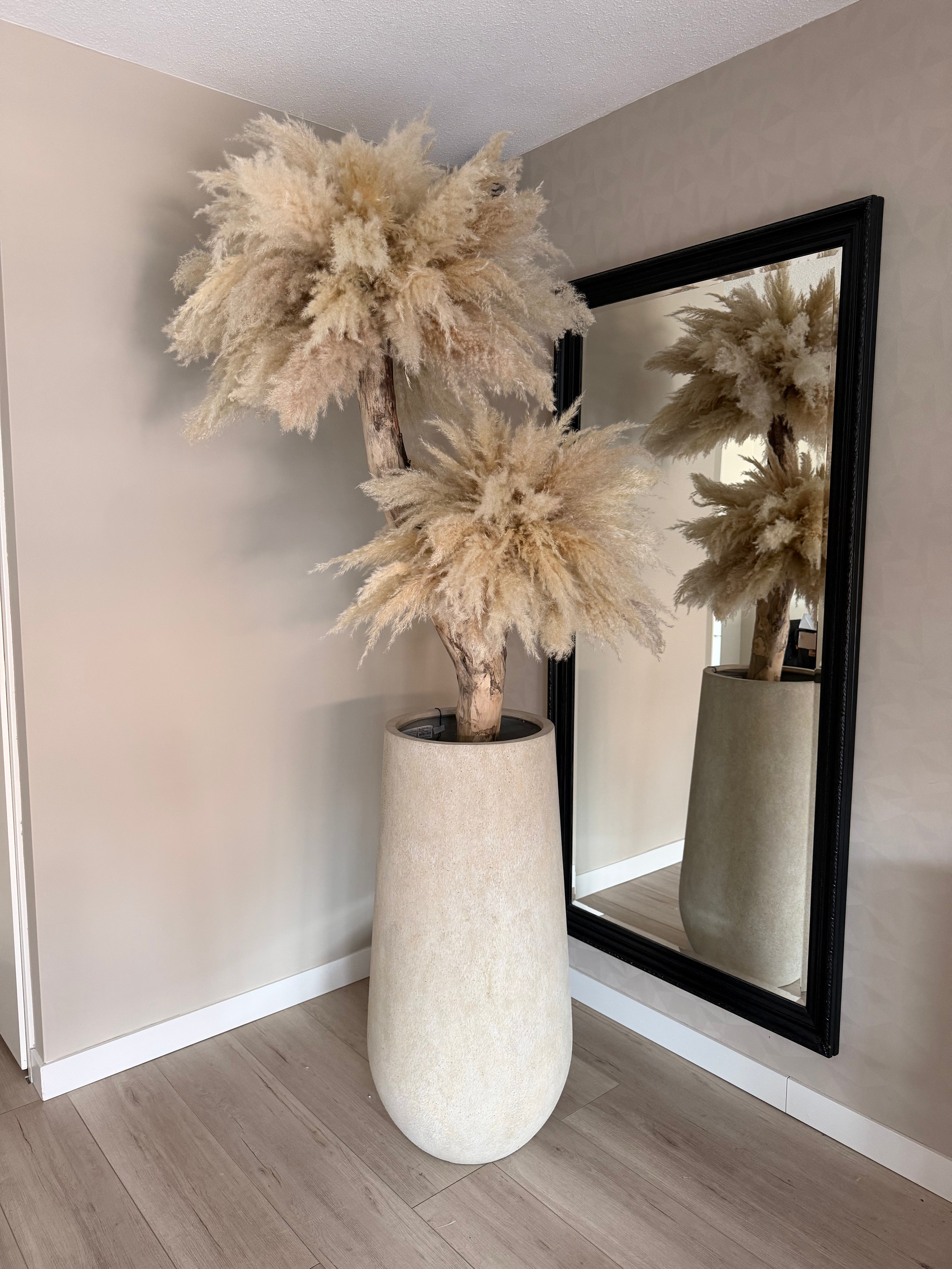 Pampas du luxe
