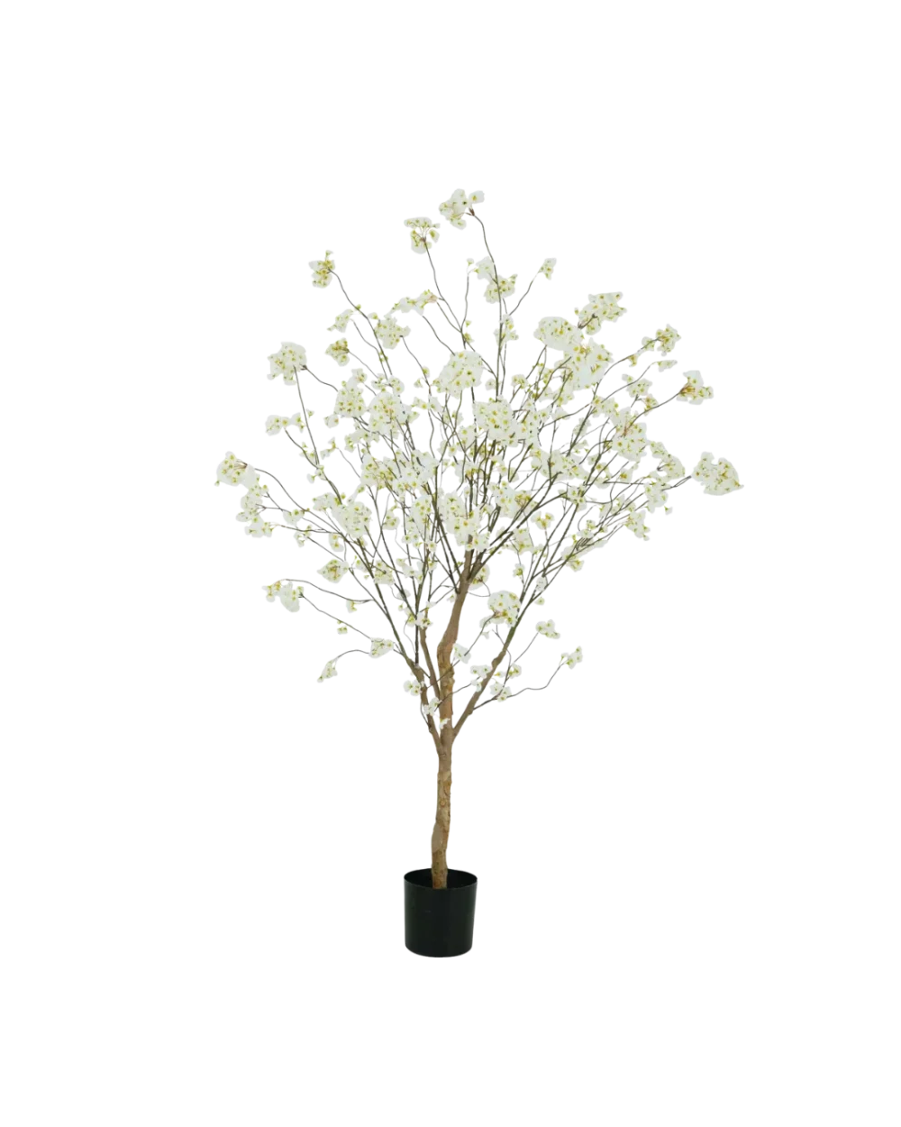 BLOSSOM TREE CREAM 180CM