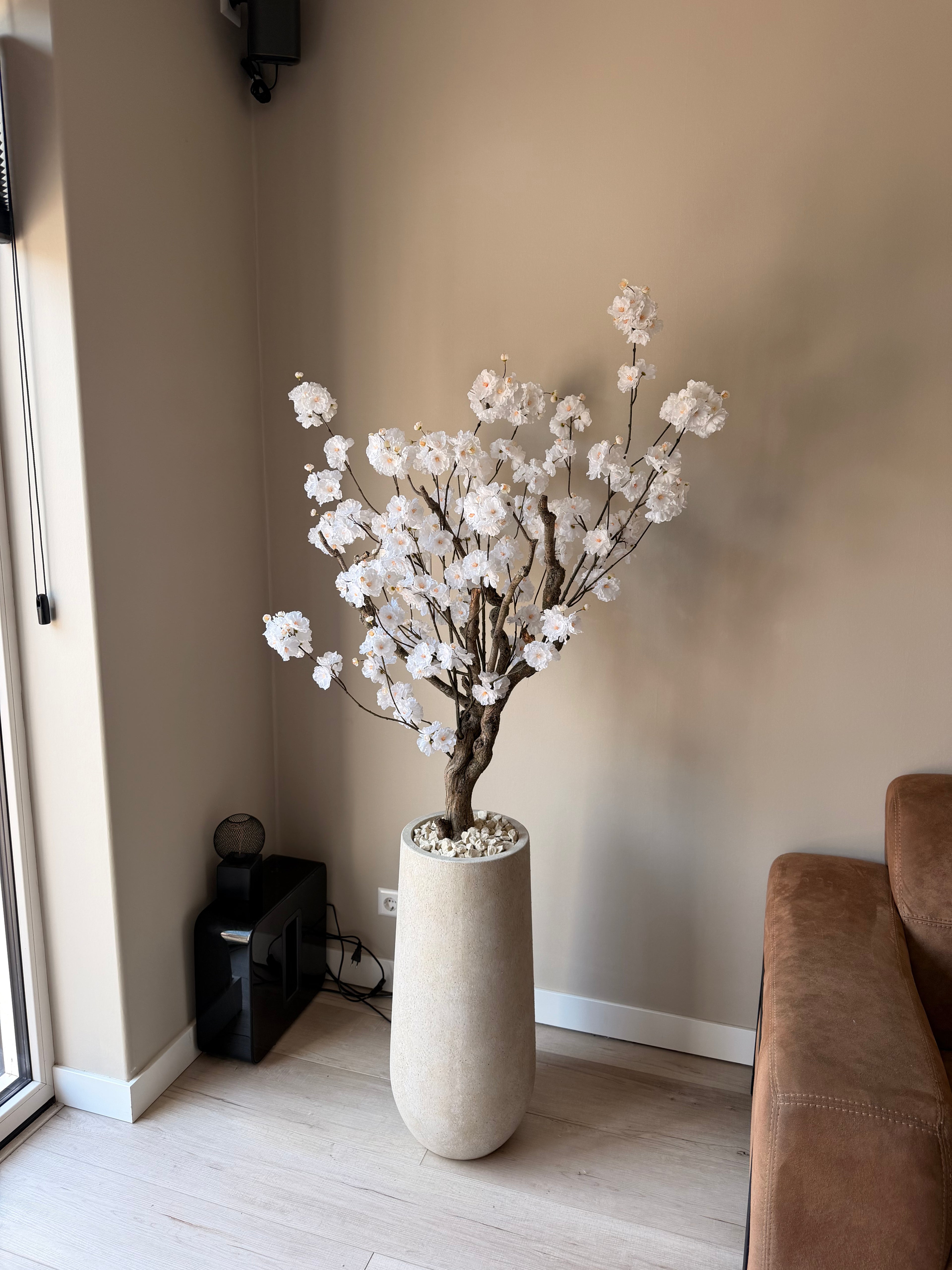 Bloesem boom 170cm