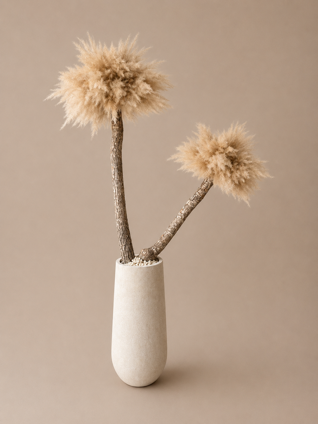 Pampas palm