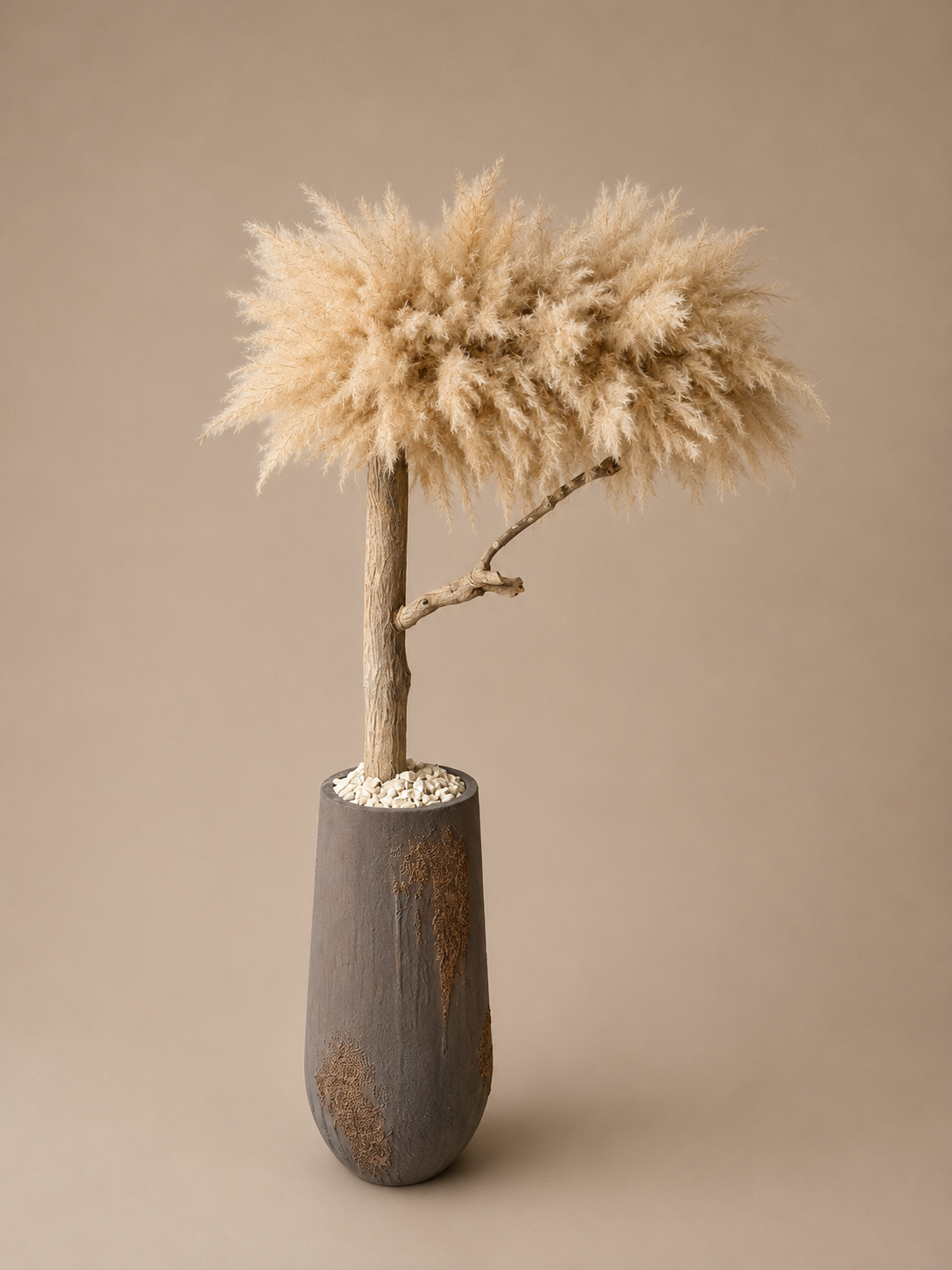 Sora Pampas tree