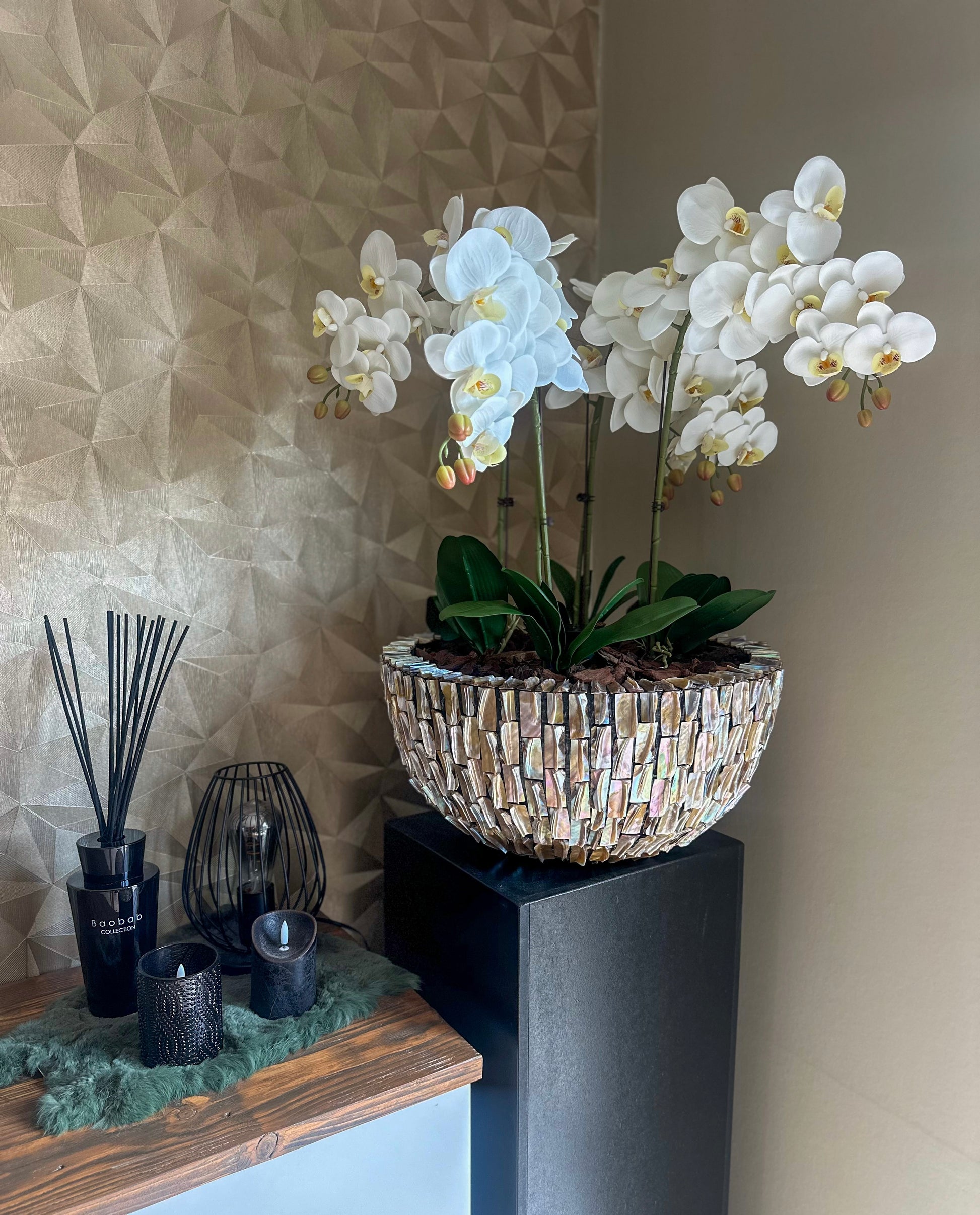 Schelpenvaas rond met orchideeën